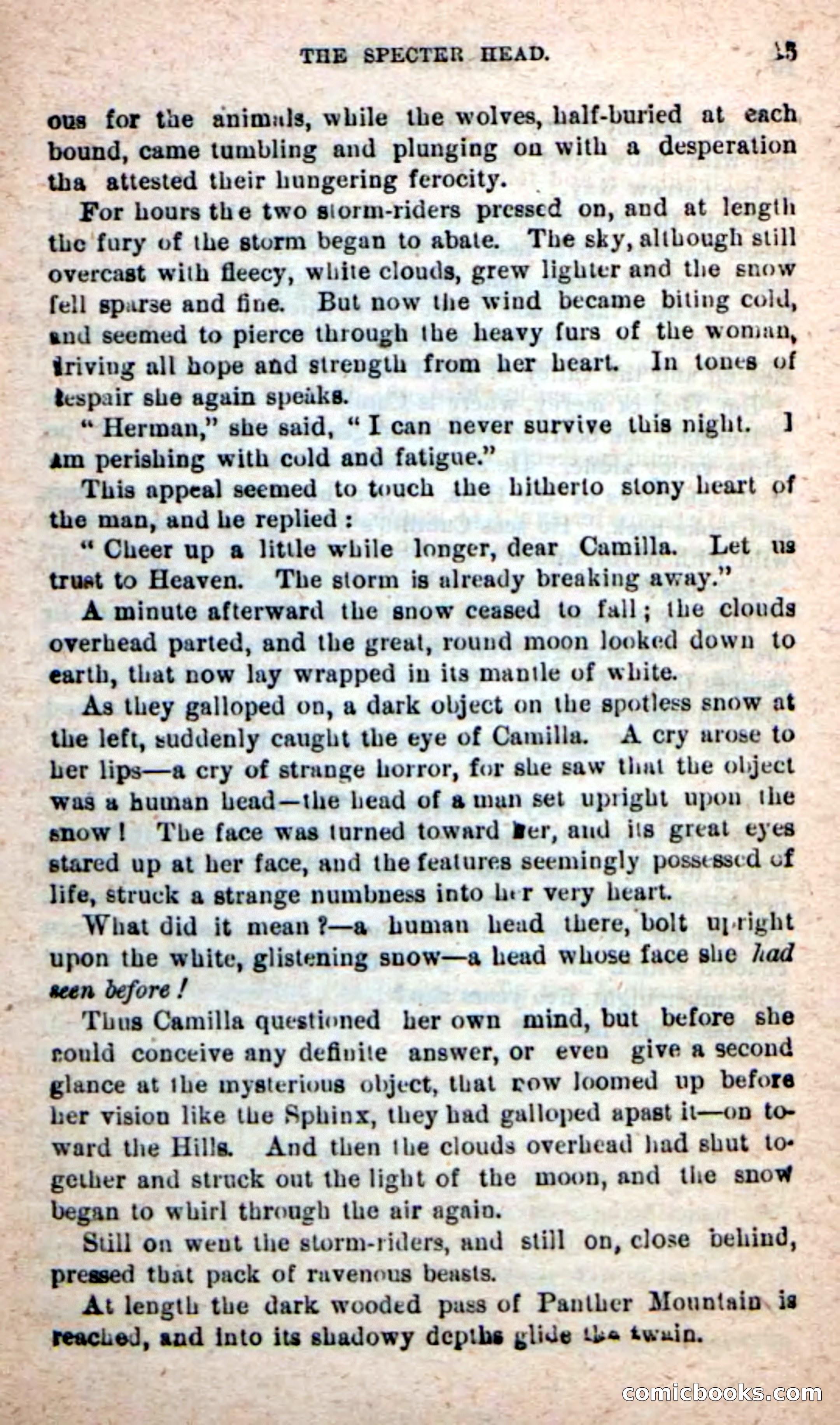 Beadle's New Dime Novels: Foghorn Phil — page 11 of 120