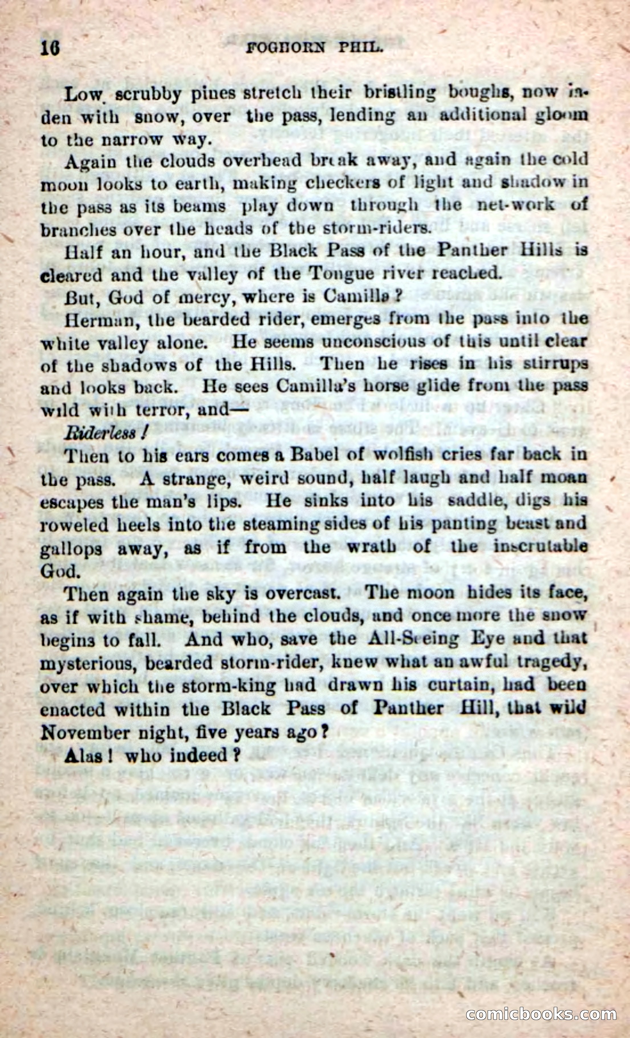 Beadle's New Dime Novels: Foghorn Phil — page 12 of 120