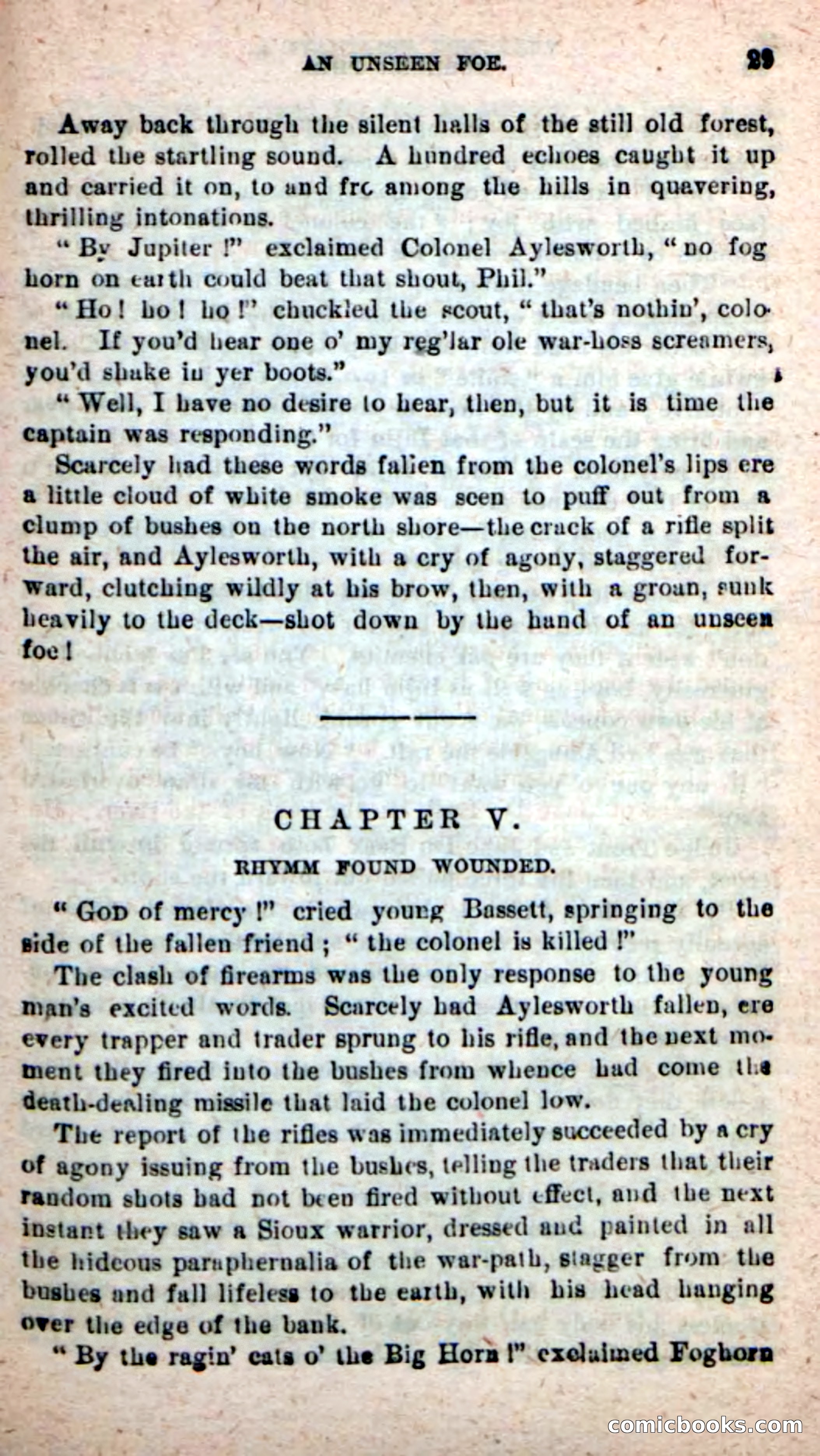 Beadle's New Dime Novels: Foghorn Phil — page 25 of 120