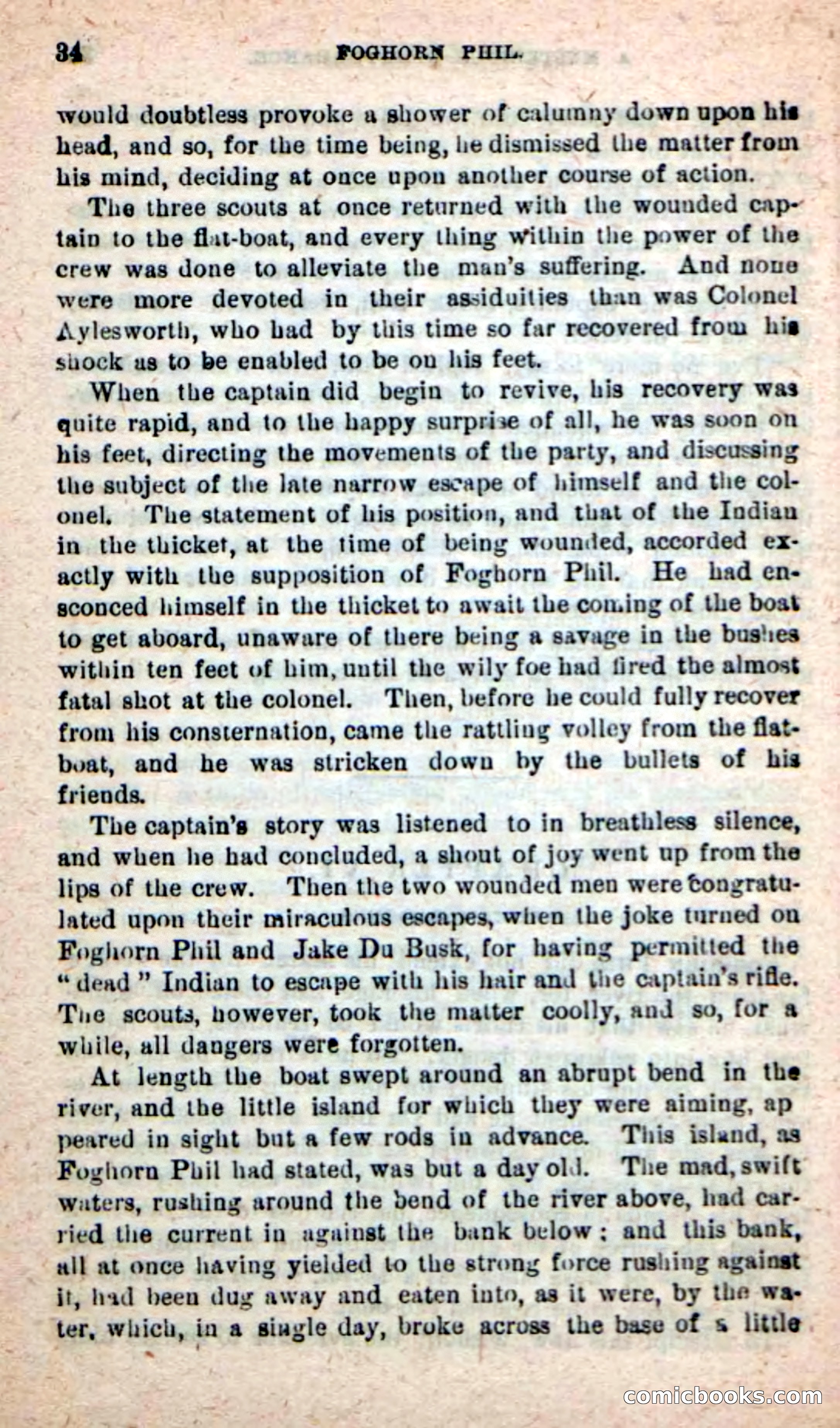 Beadle's New Dime Novels: Foghorn Phil — page 30 of 120