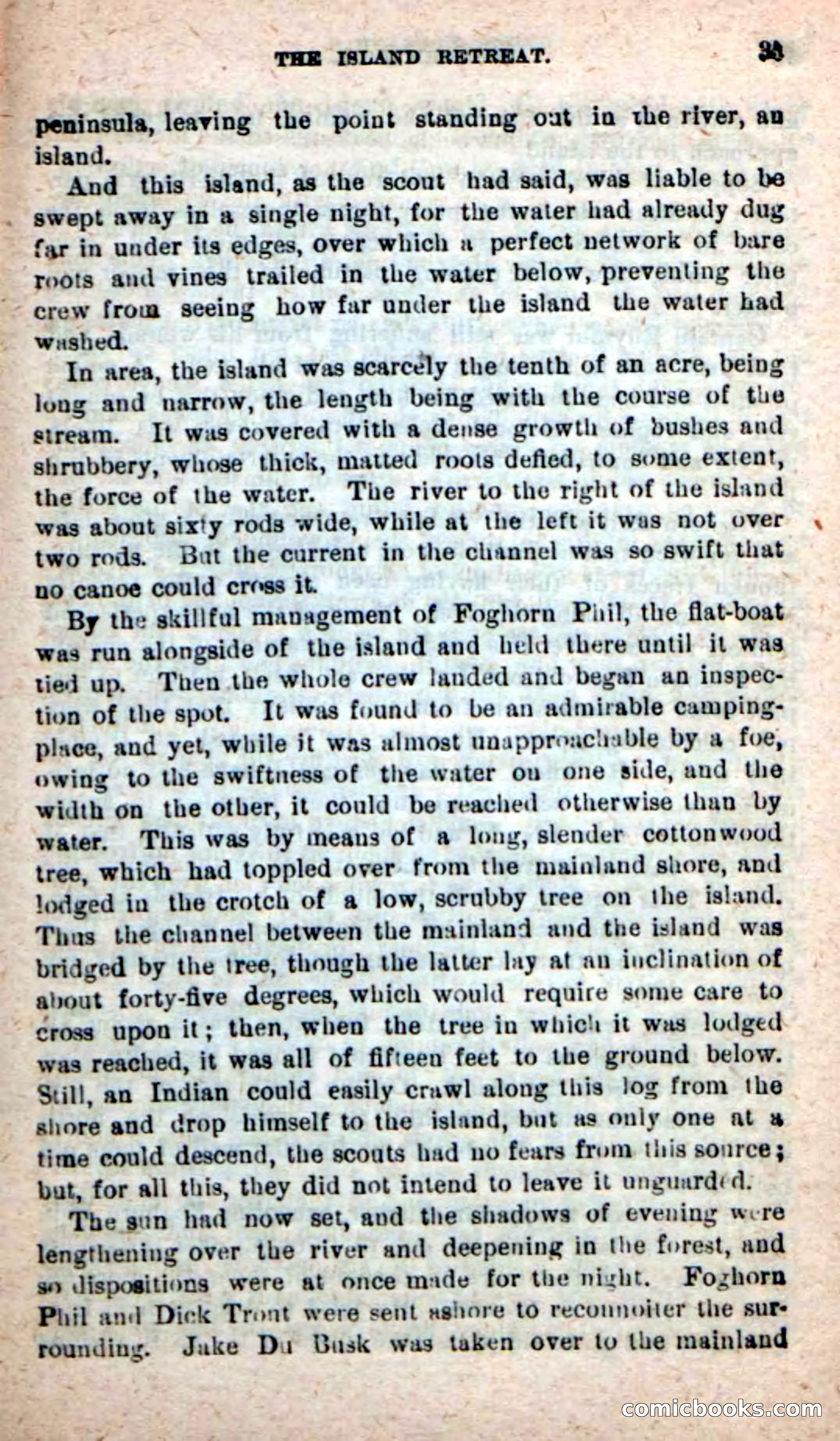 Beadle's New Dime Novels: Foghorn Phil — page 31 of 120