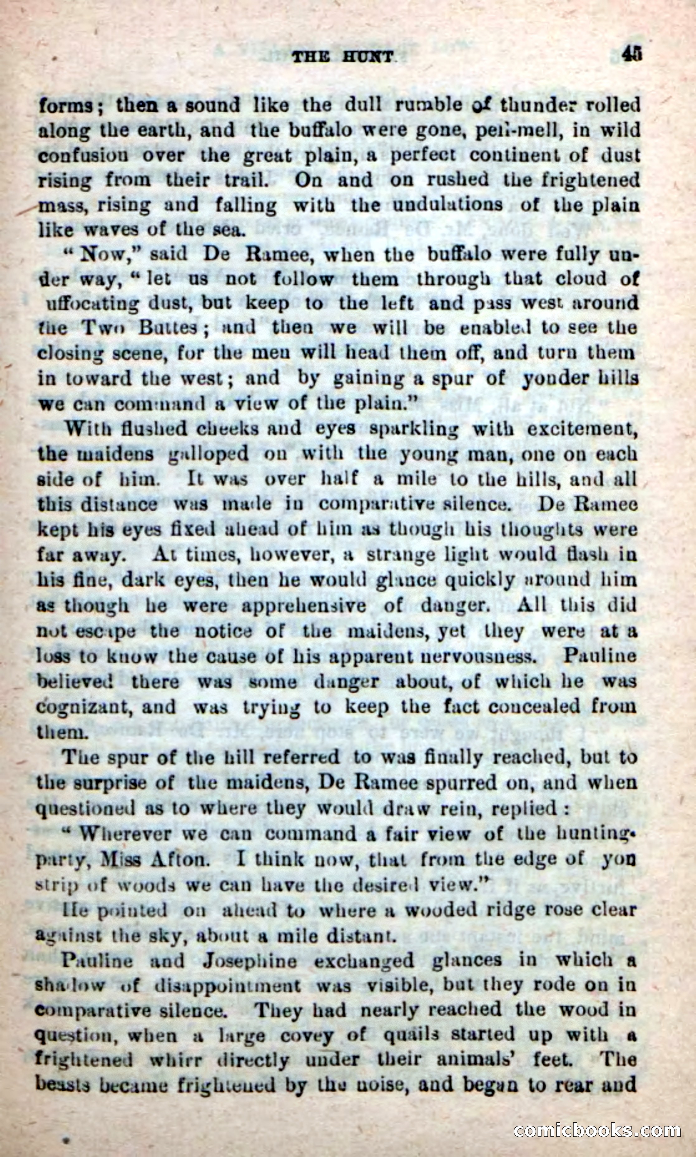 Beadle's New Dime Novels: Foghorn Phil — page 41 of 120