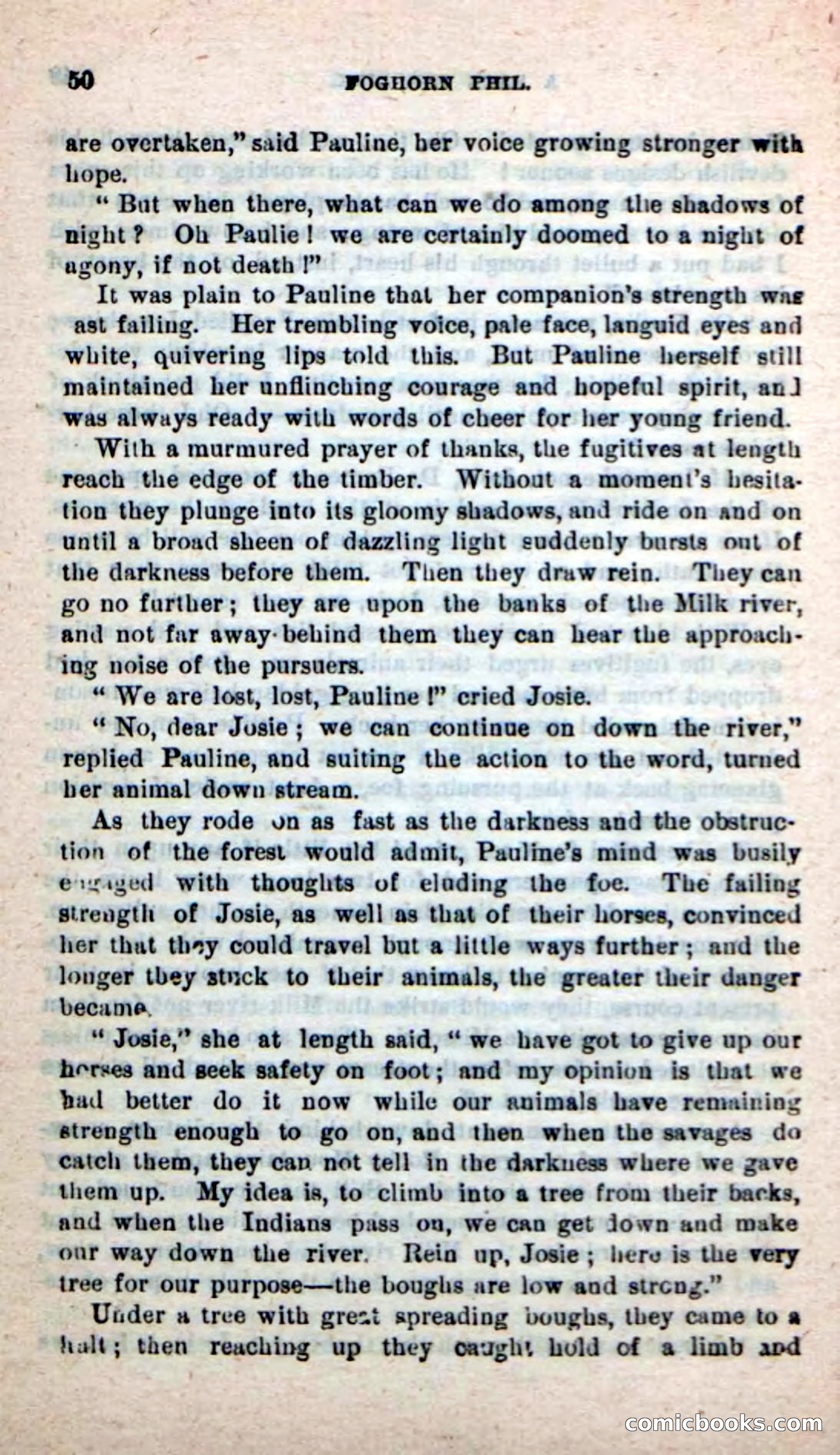 Beadle's New Dime Novels: Foghorn Phil — page 46 of 120