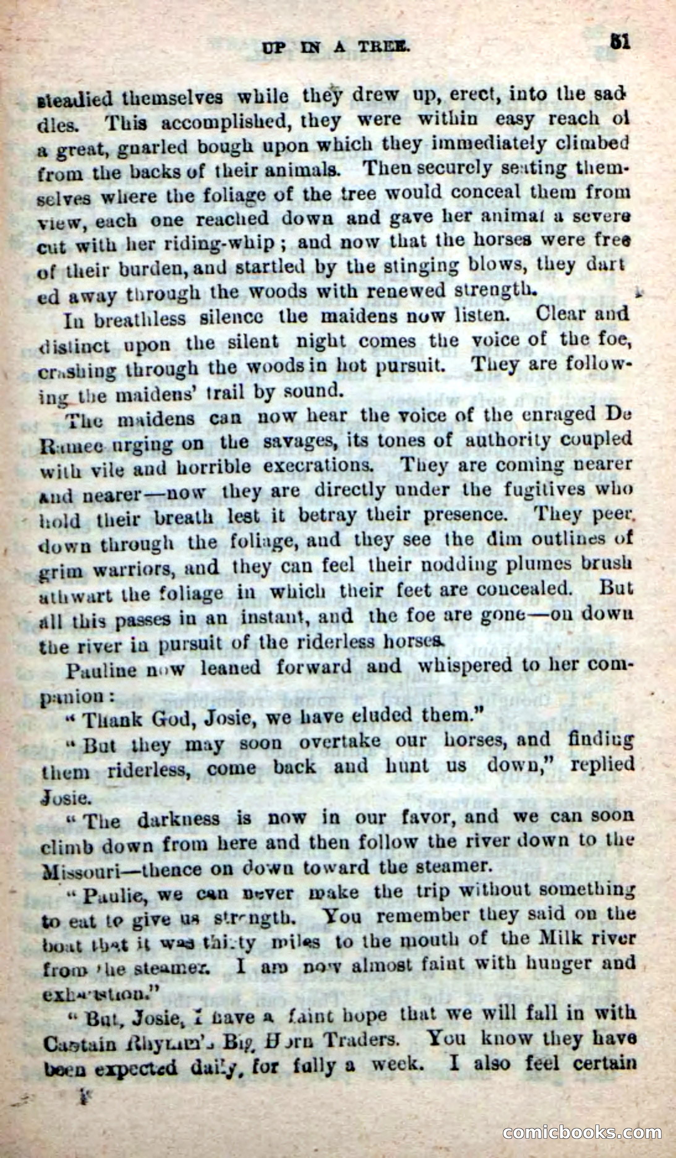 Beadle's New Dime Novels: Foghorn Phil — page 47 of 120
