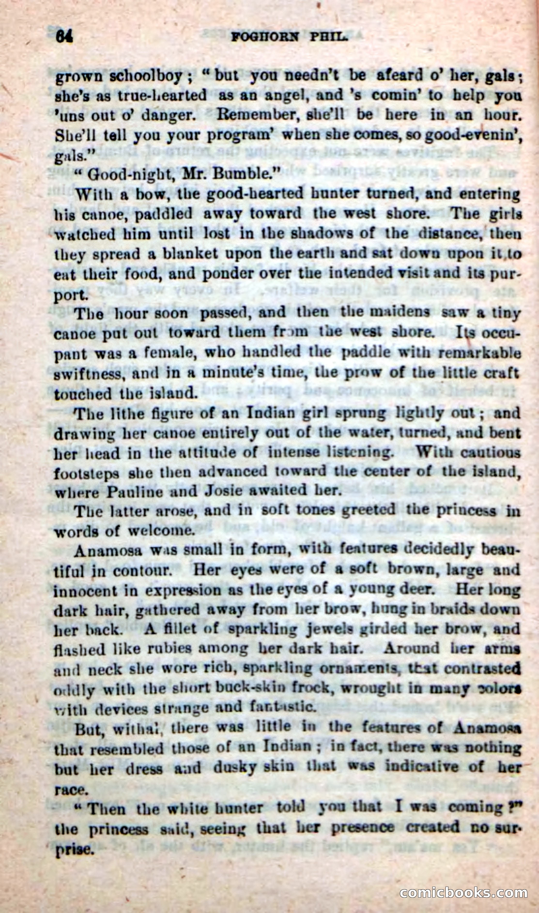 Beadle's New Dime Novels: Foghorn Phil — page 60 of 120