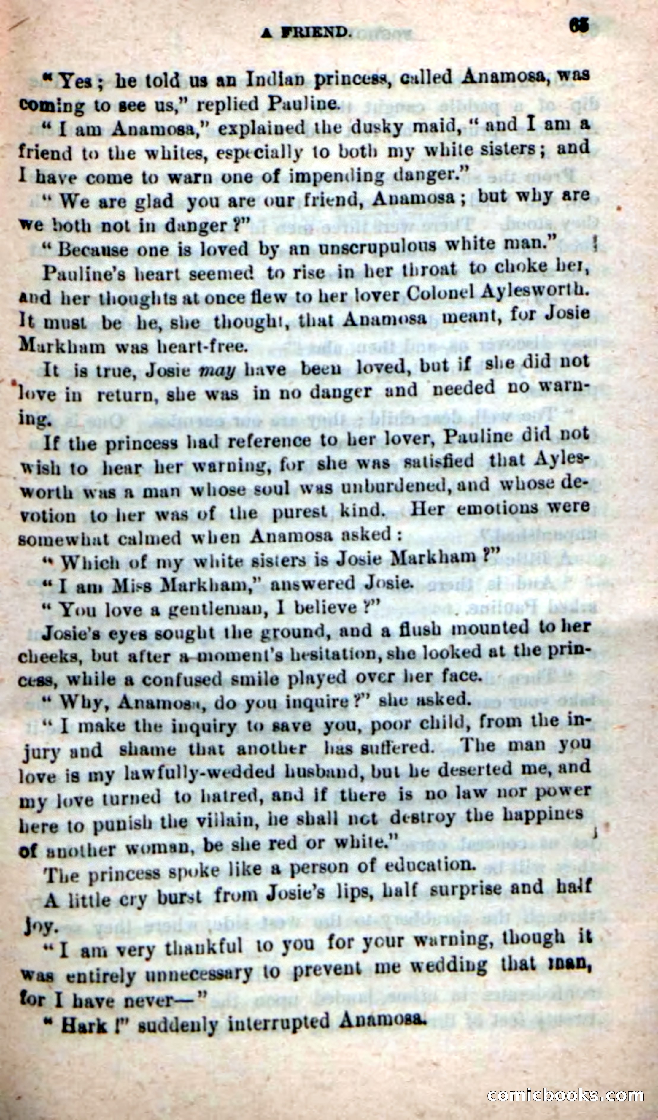 Beadle's New Dime Novels: Foghorn Phil — page 61 of 120