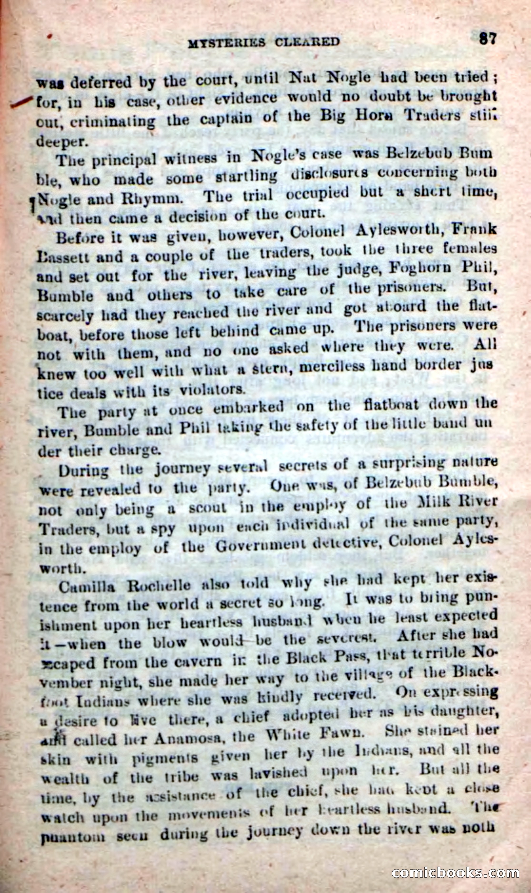 Beadle's New Dime Novels: Foghorn Phil — page 83 of 120