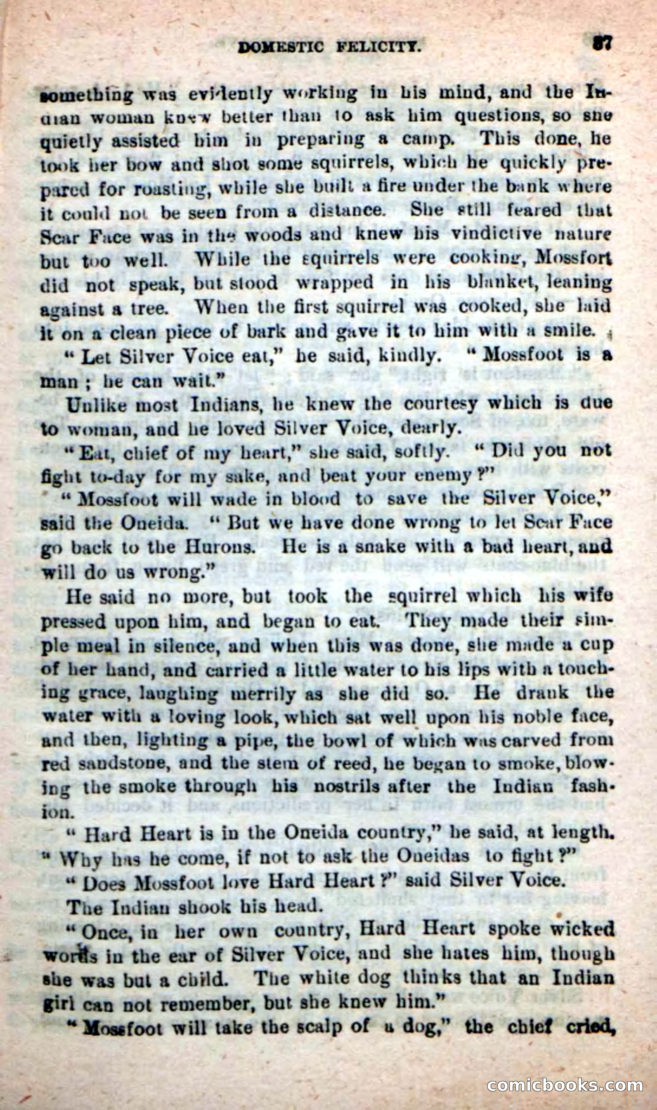 Beadle's New Dime Novels: Mossfoot, the Brave — page 33 of 100
