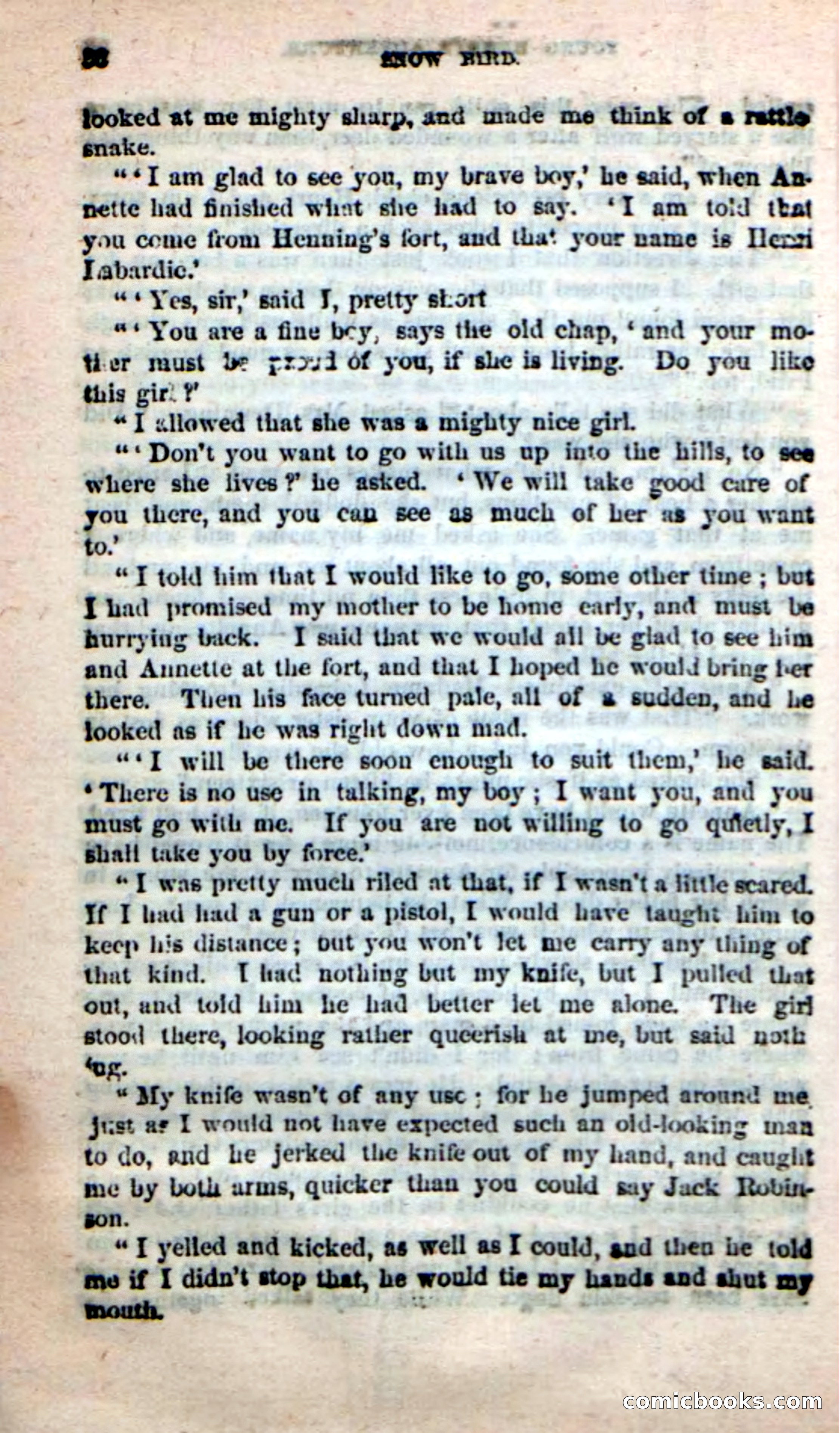 Snow Bird — page 32 of 100