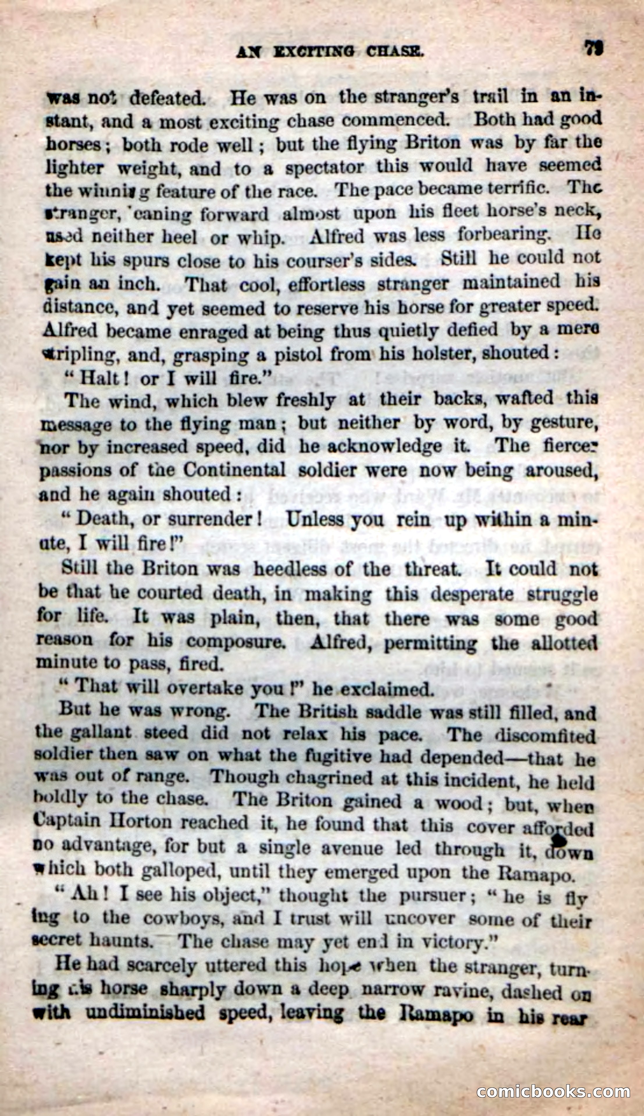 Beadle's New Dime Novels: The Dragon's Bride — page 75 of 111