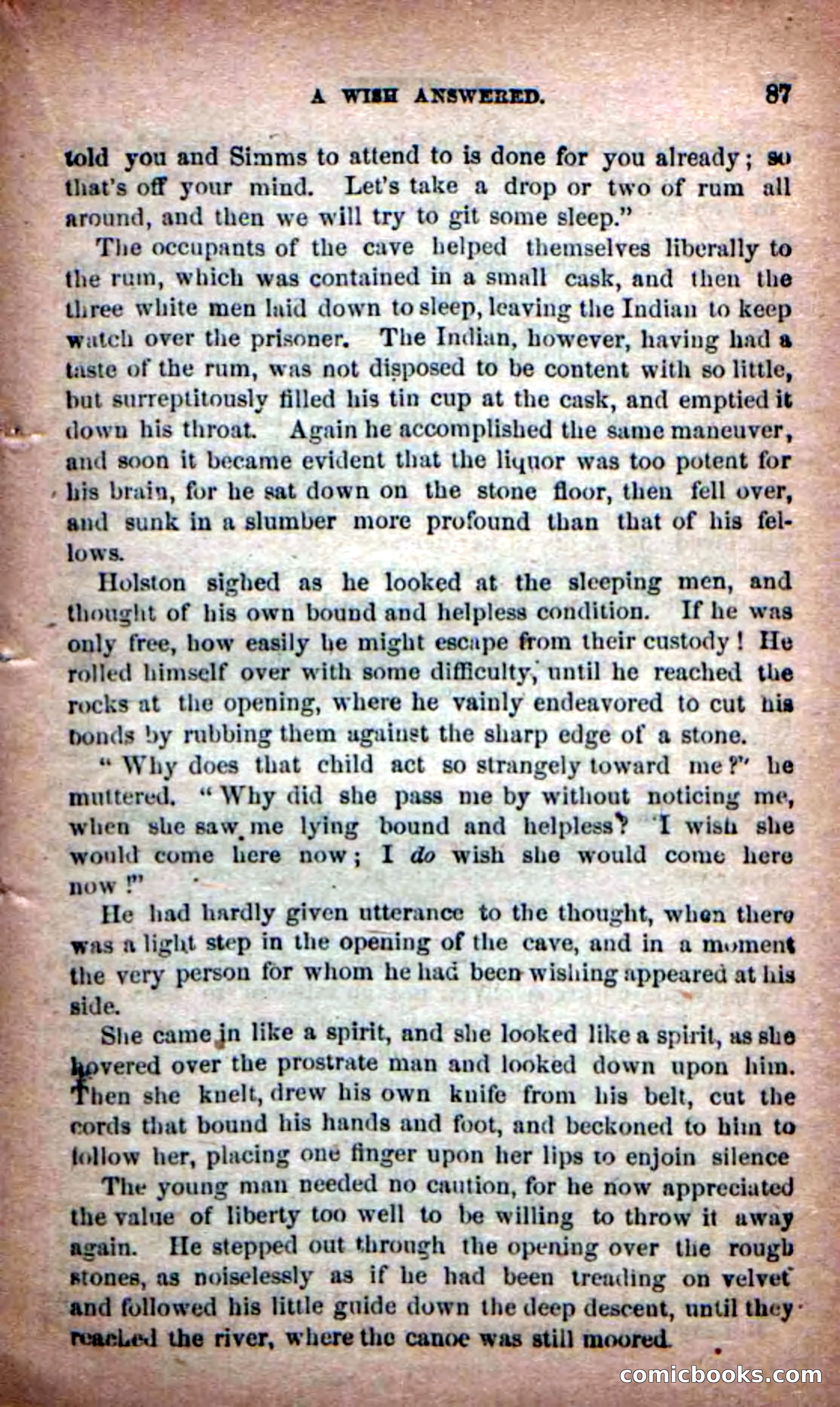 Beadle's New Dime Novels: Old Honesty — page 83 of 98