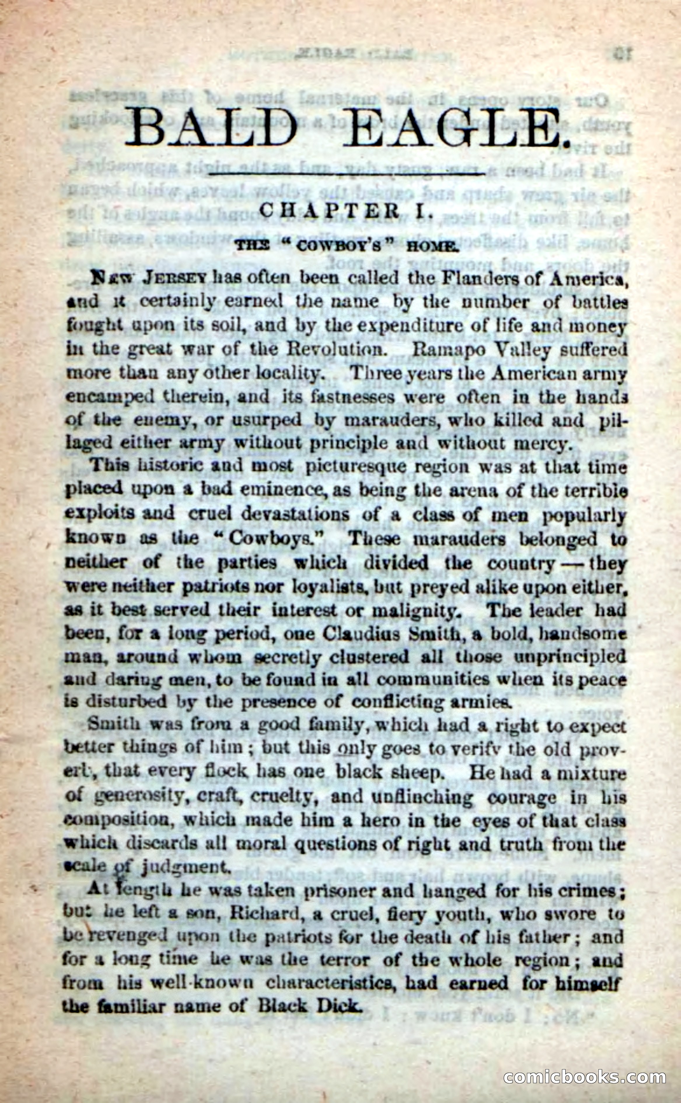 Beadle's New Dime Novels: Bald Eagle — page 5 of 98