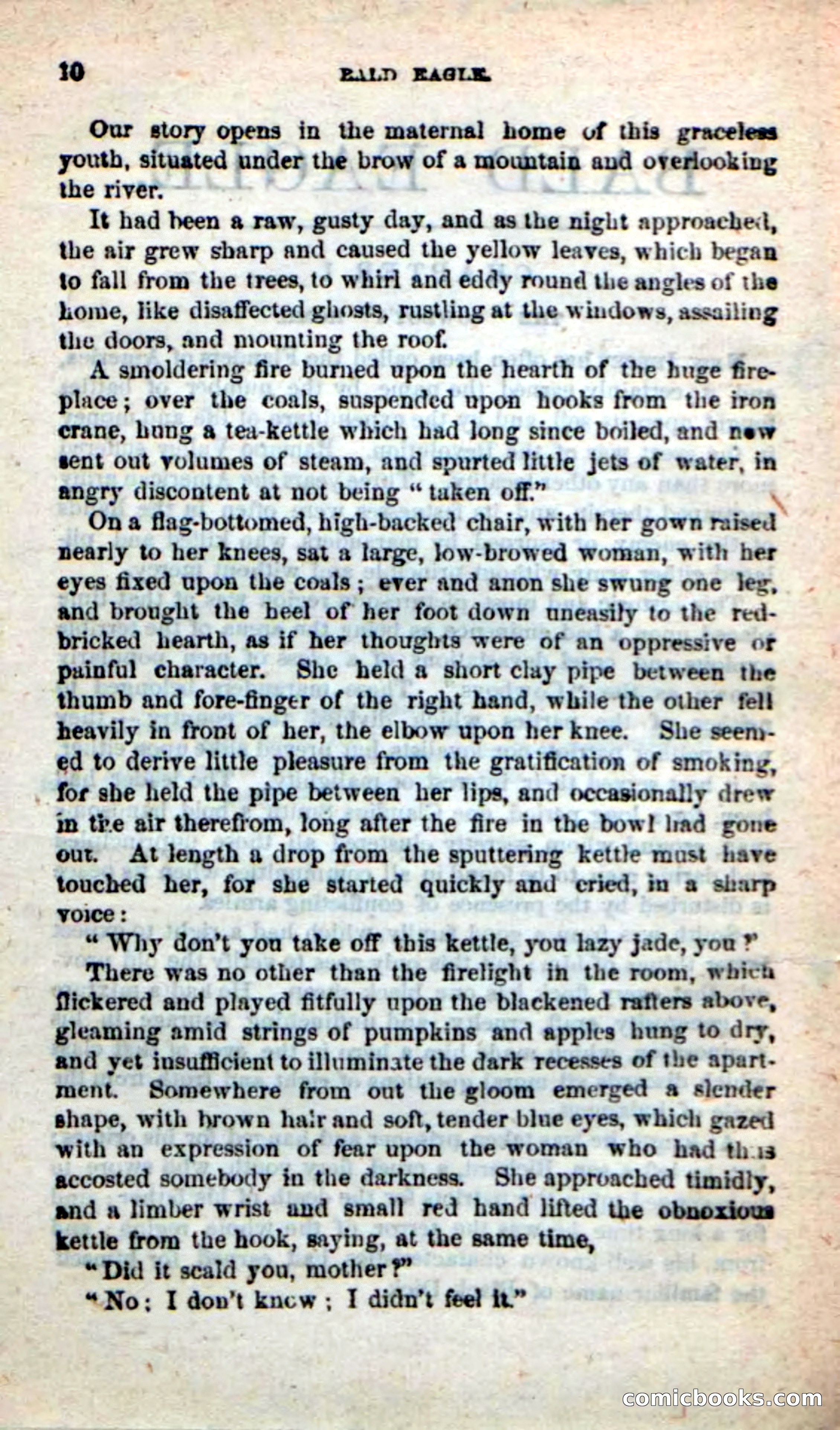 Beadle's New Dime Novels: Bald Eagle — page 6 of 98