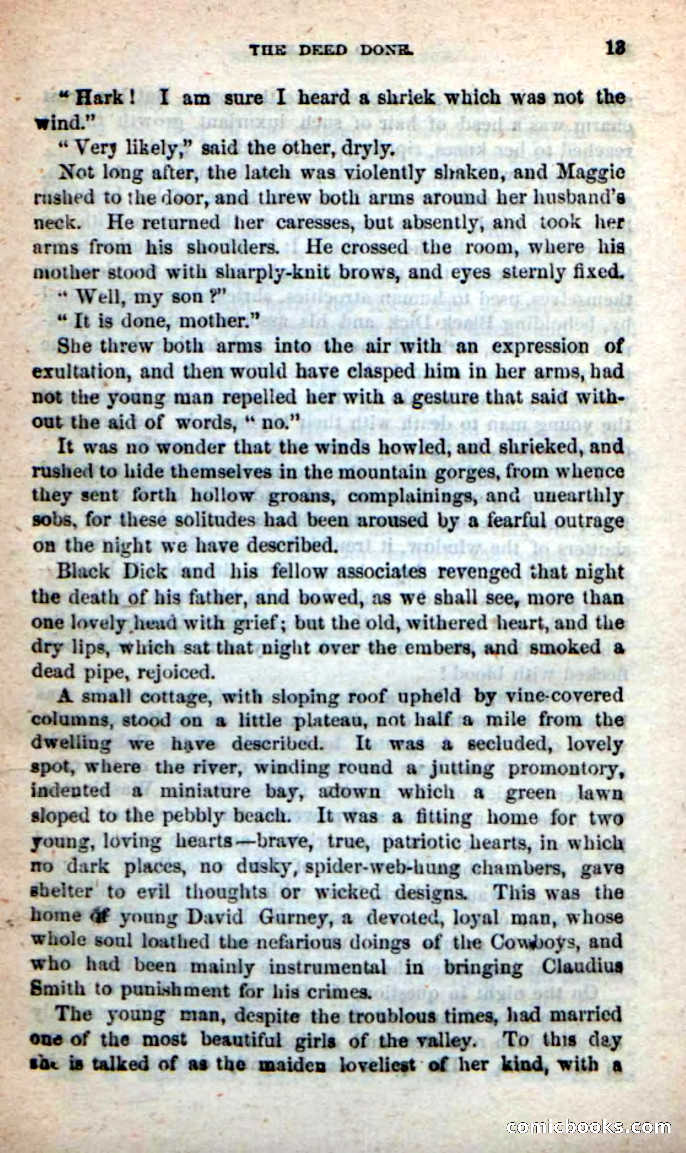Beadle's New Dime Novels: Bald Eagle — page 9 of 98