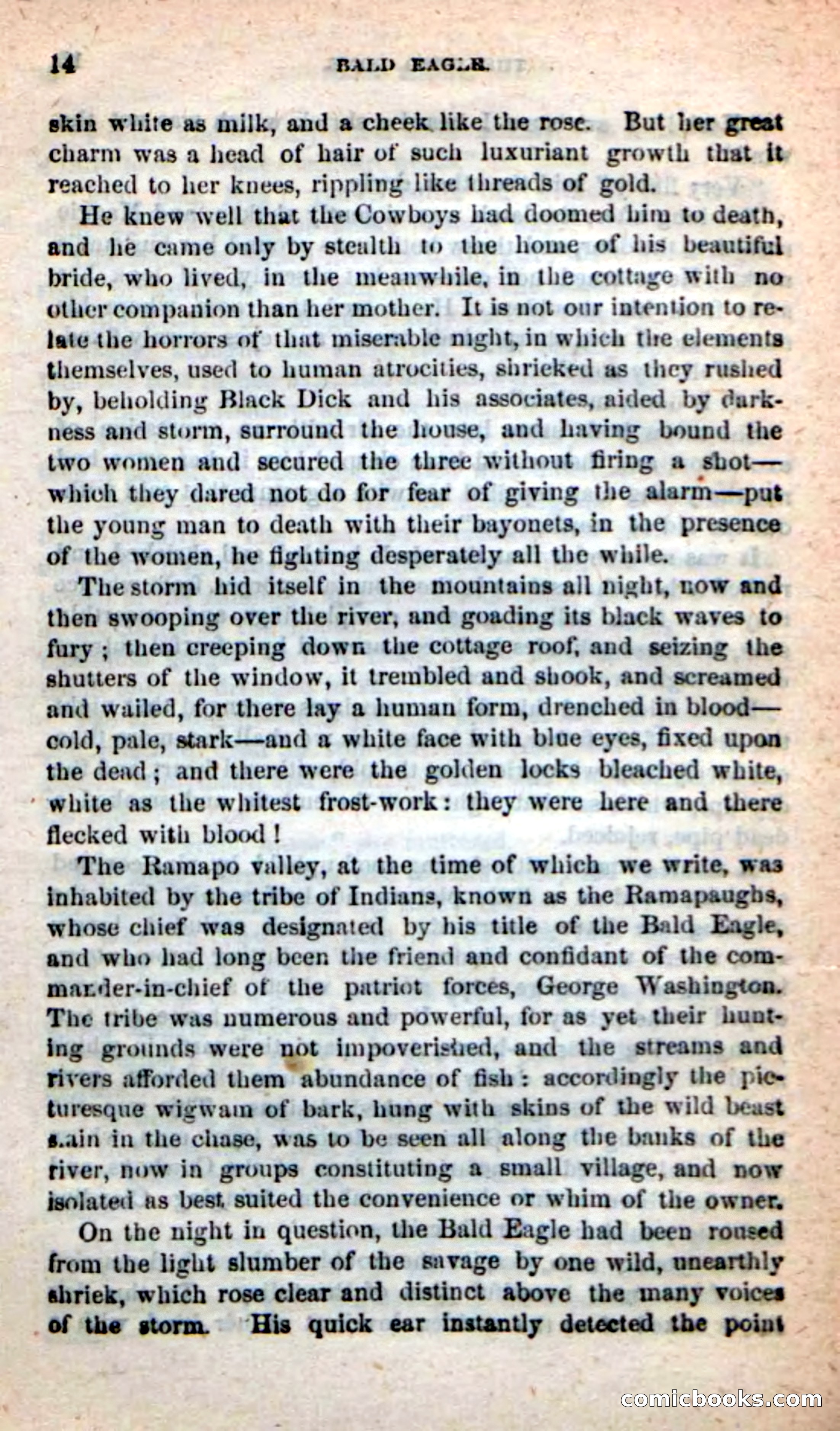 Beadle's New Dime Novels: Bald Eagle — page 10 of 98