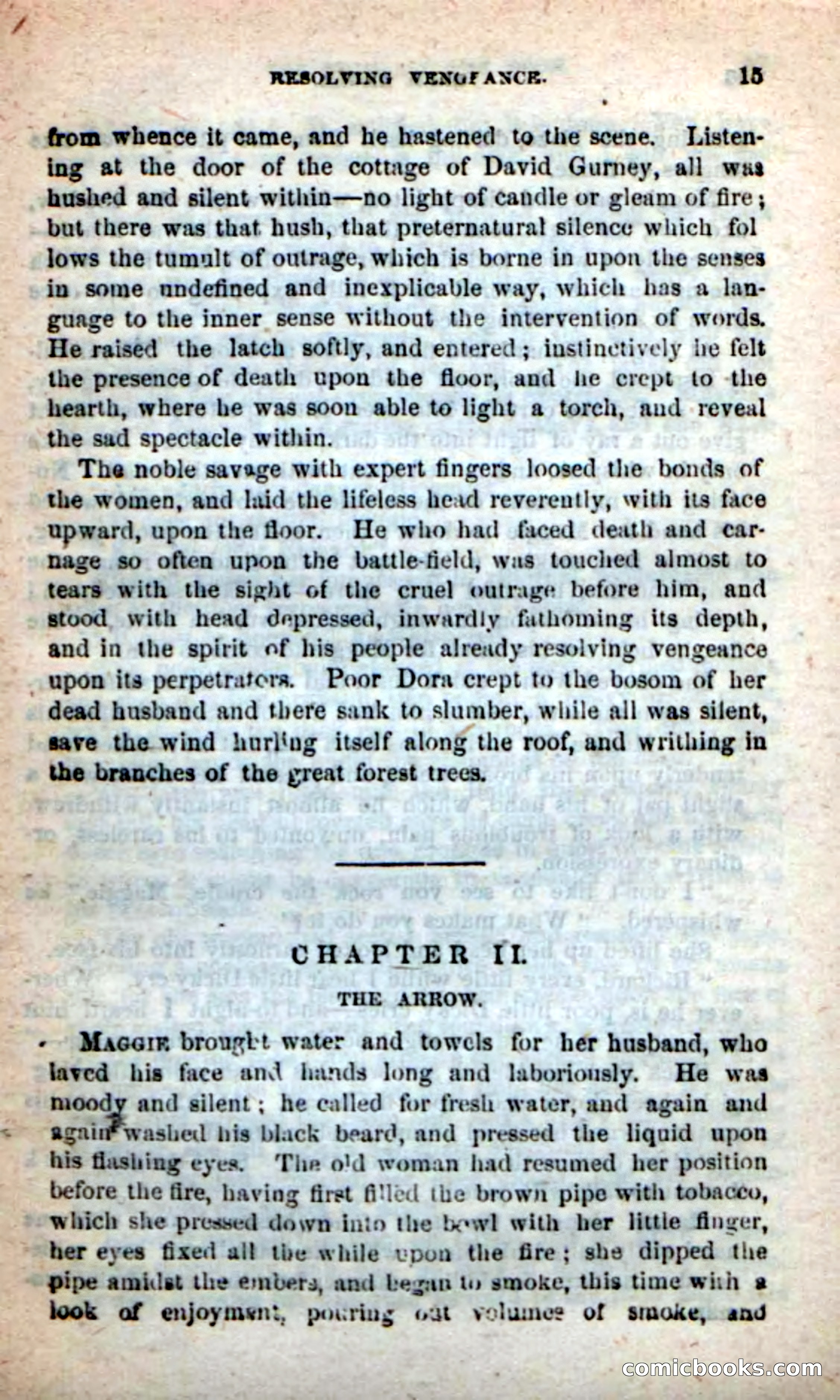 Beadle's New Dime Novels: Bald Eagle — page 11 of 98