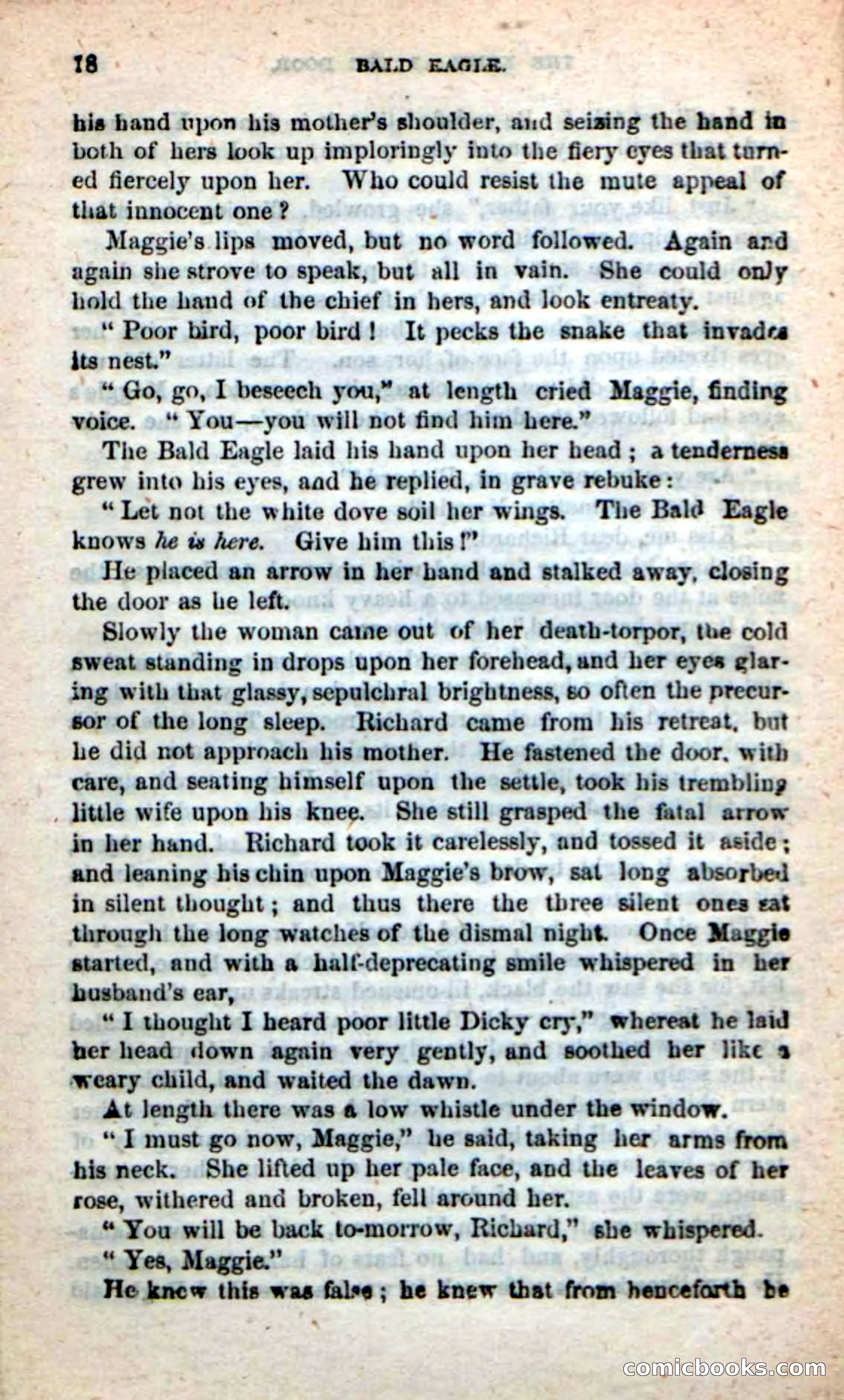 Beadle's New Dime Novels: Bald Eagle — page 14 of 98