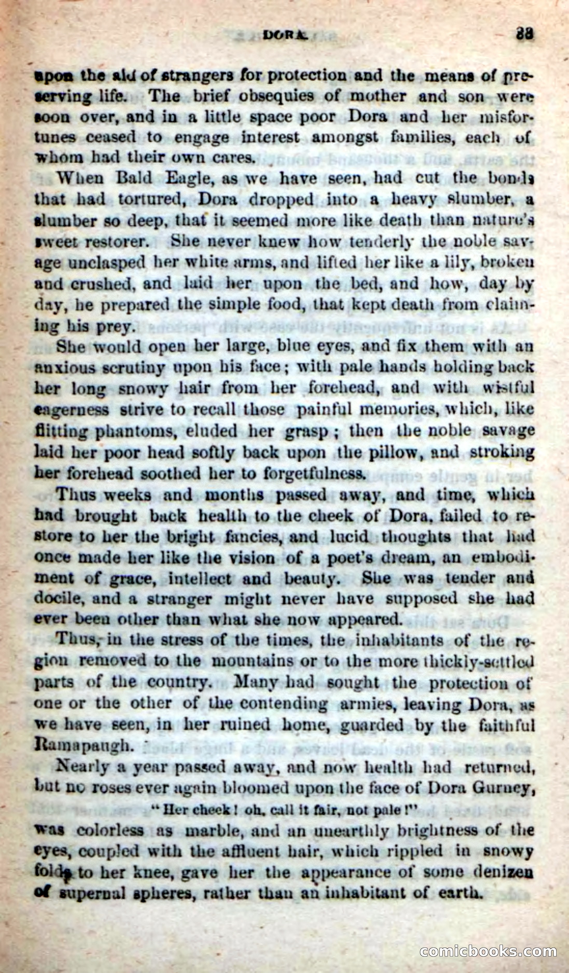 Beadle's New Dime Novels: Bald Eagle — page 29 of 98