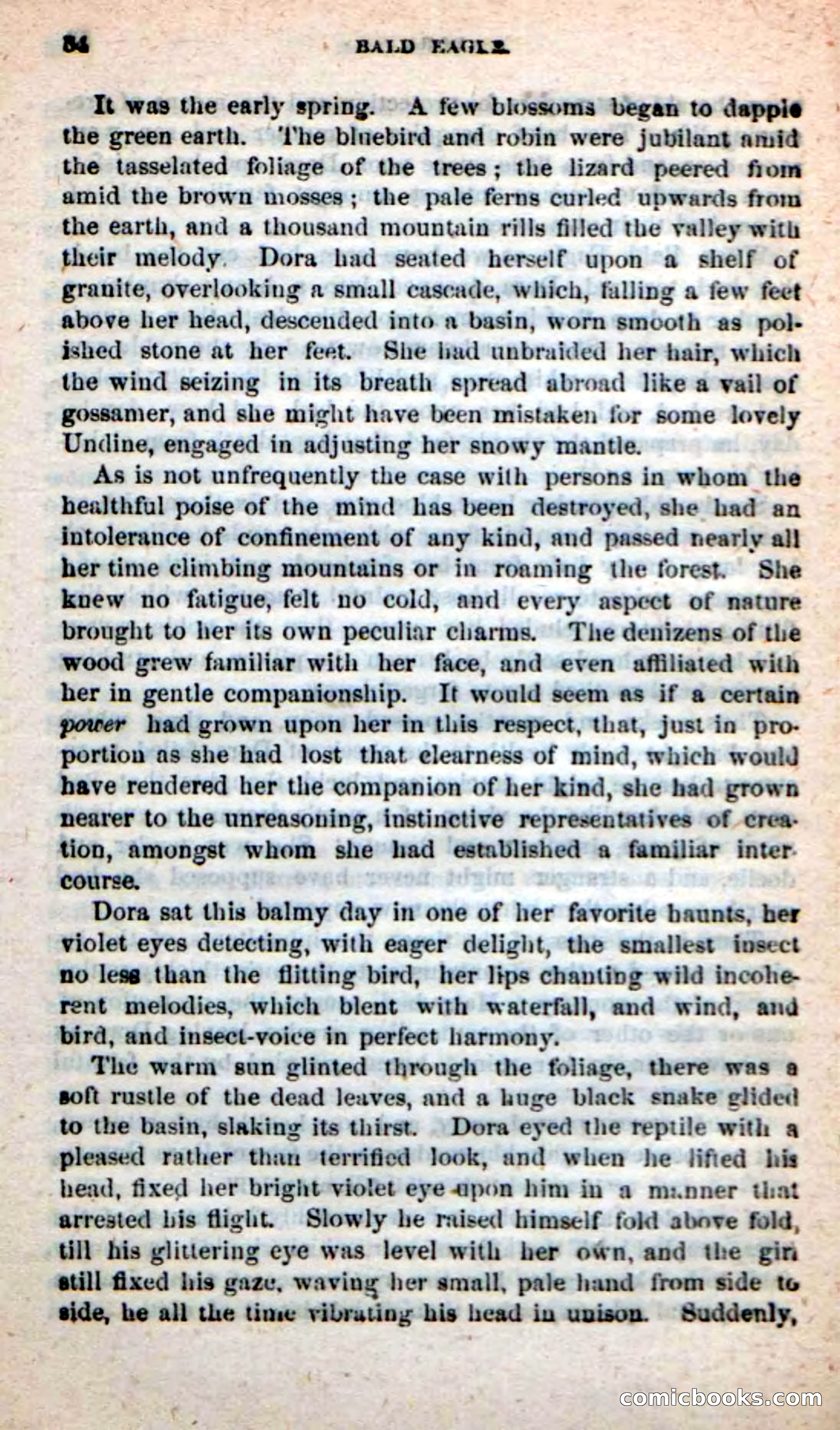 Beadle's New Dime Novels: Bald Eagle — page 30 of 98