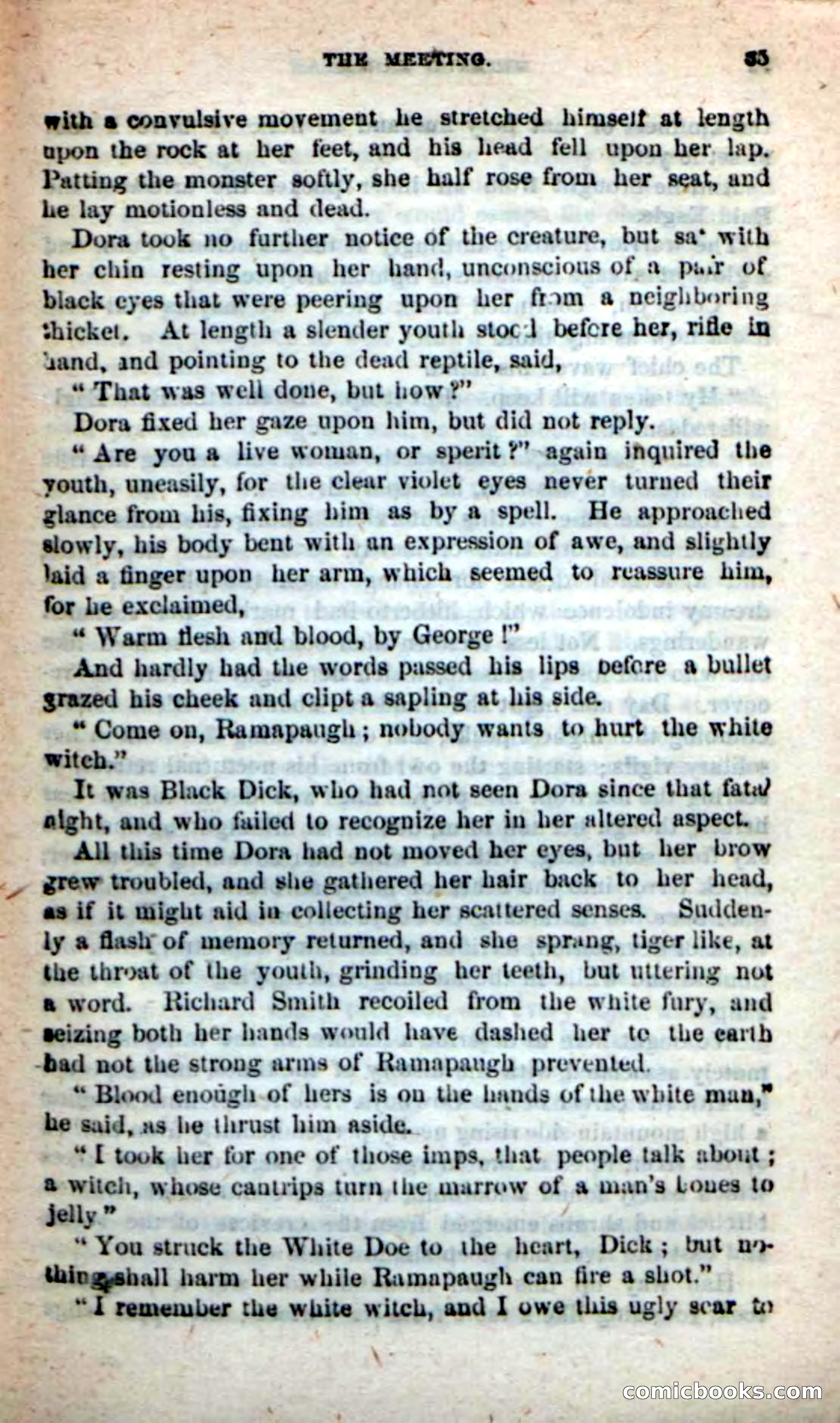 Beadle's New Dime Novels: Bald Eagle — page 31 of 98