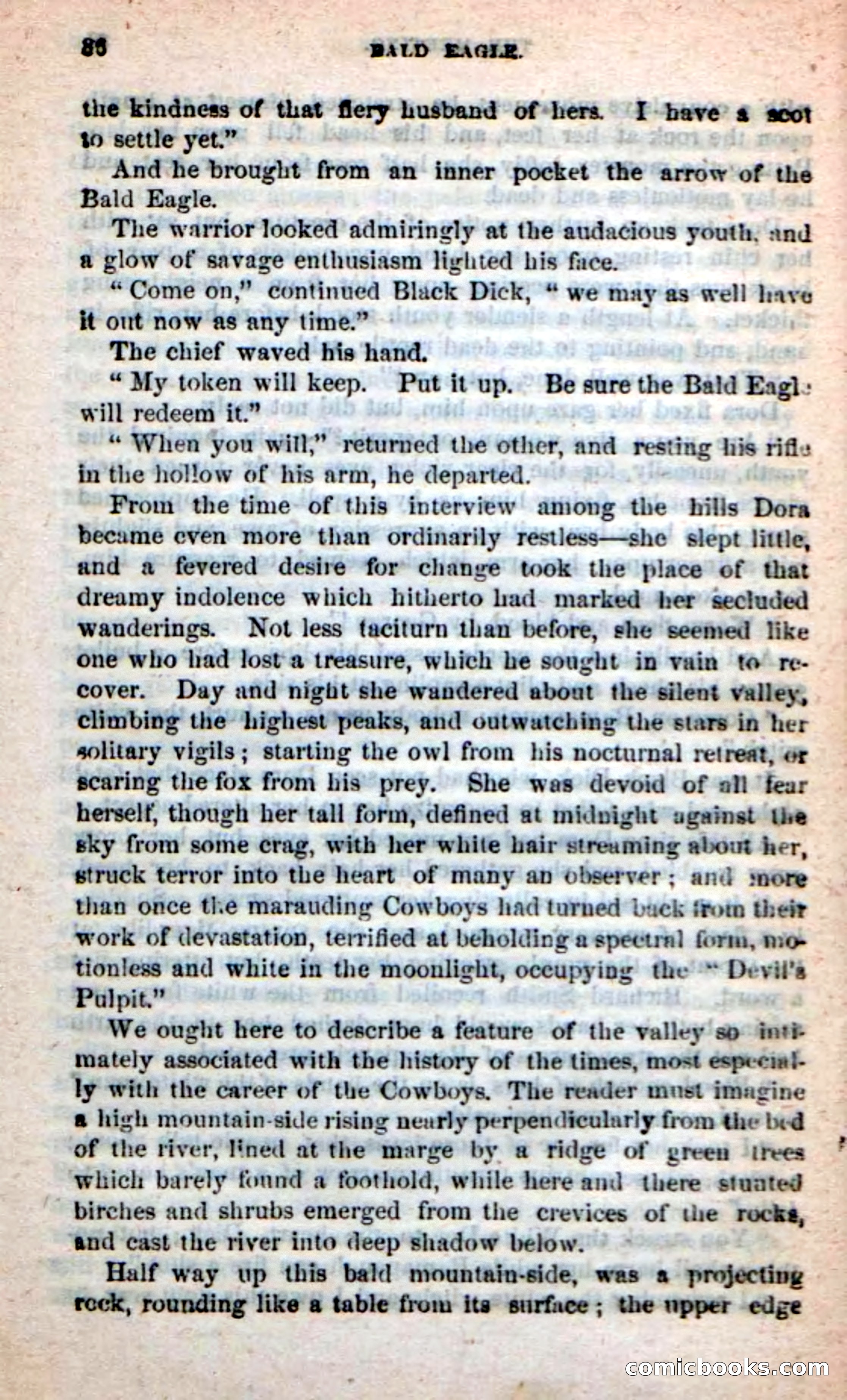Beadle's New Dime Novels: Bald Eagle — page 32 of 98