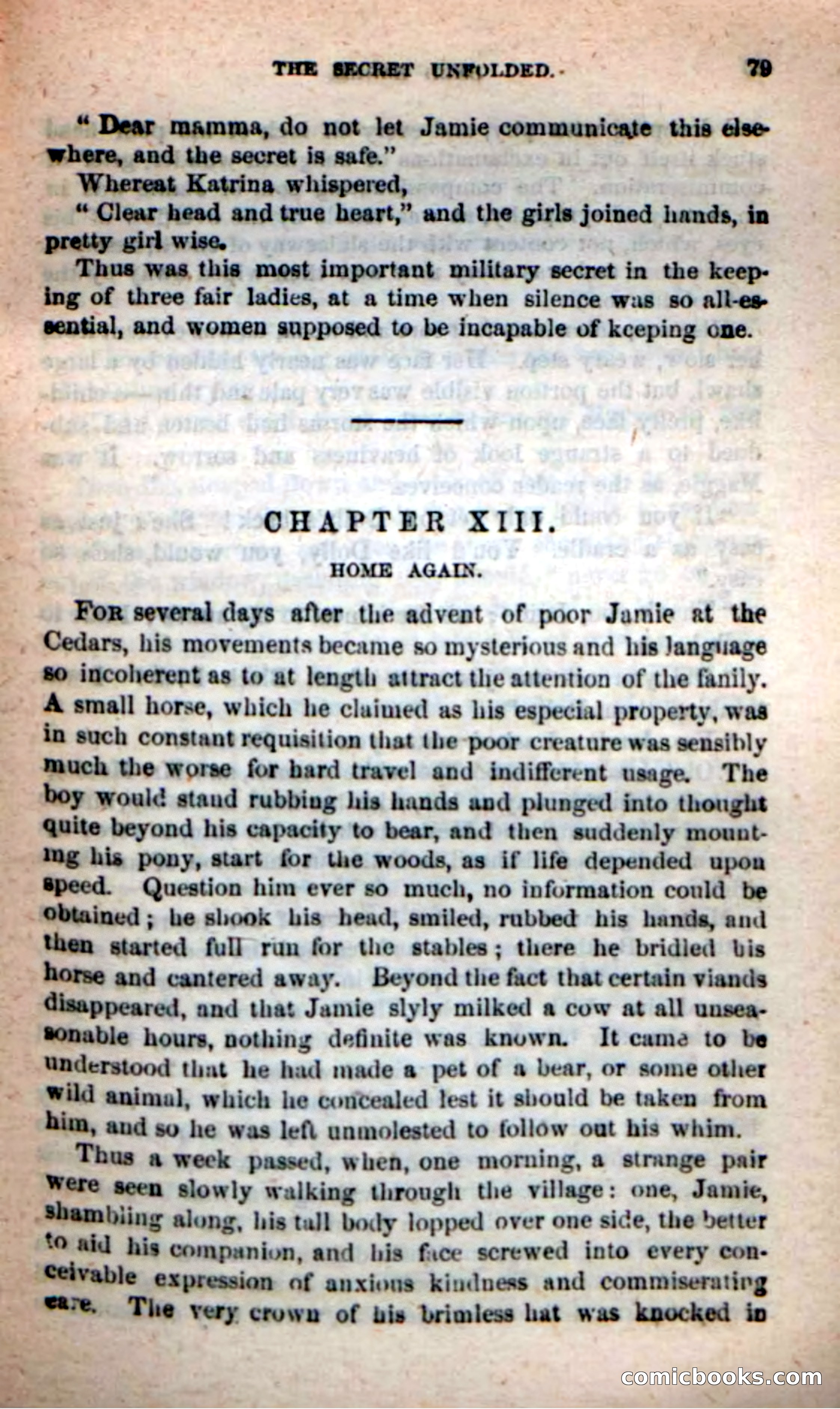 Beadle's New Dime Novels: Bald Eagle — page 75 of 98