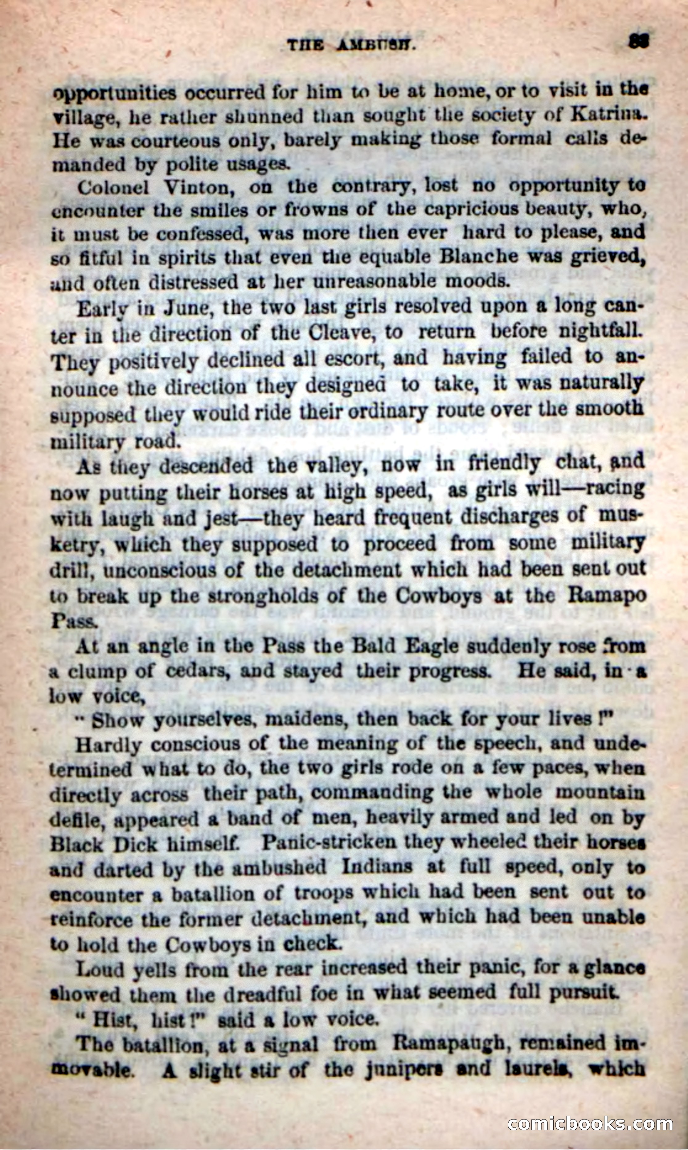 Beadle's New Dime Novels: Bald Eagle — page 79 of 98