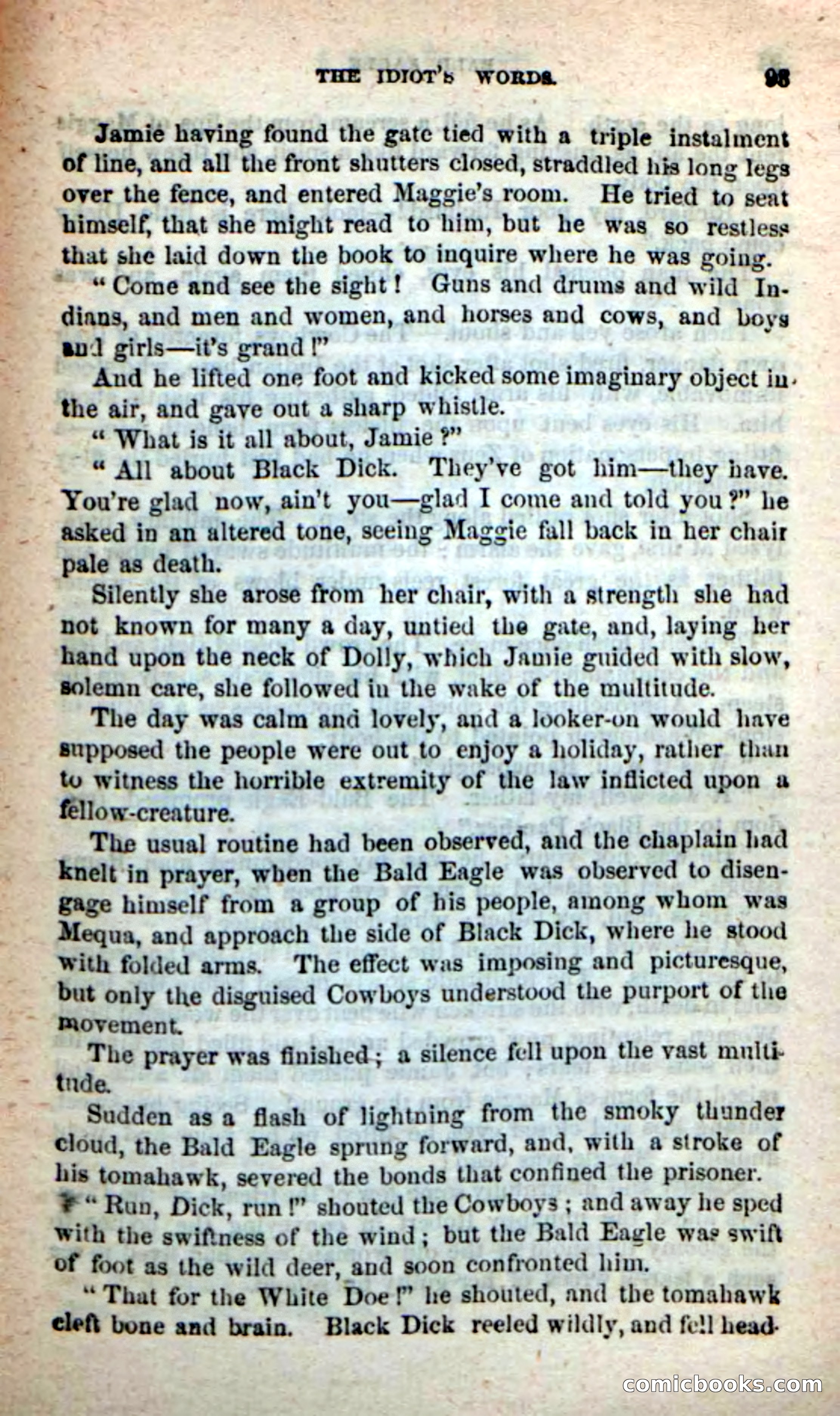 Beadle's New Dime Novels: Bald Eagle — page 89 of 98