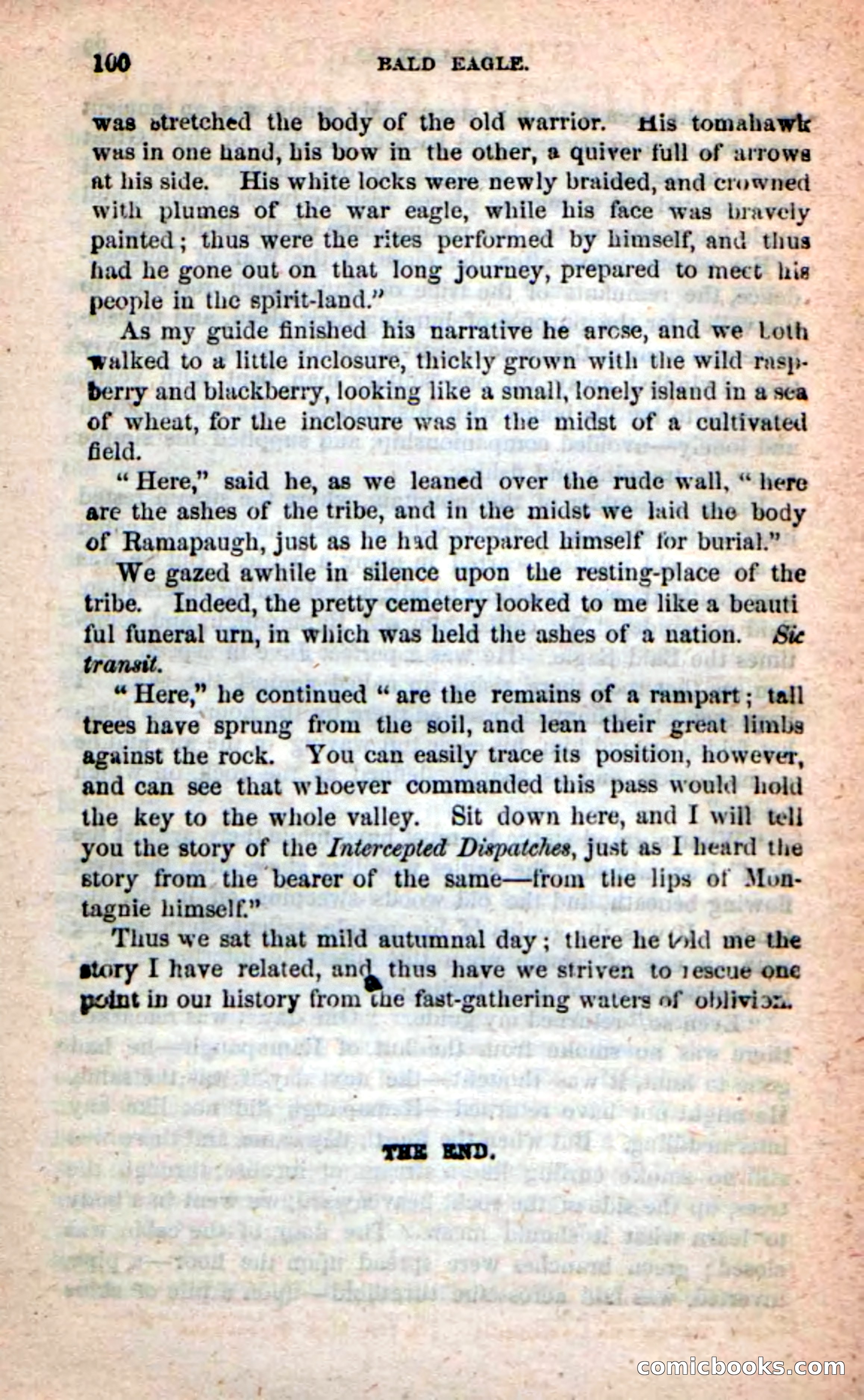 Beadle's New Dime Novels: Bald Eagle — page 96 of 98