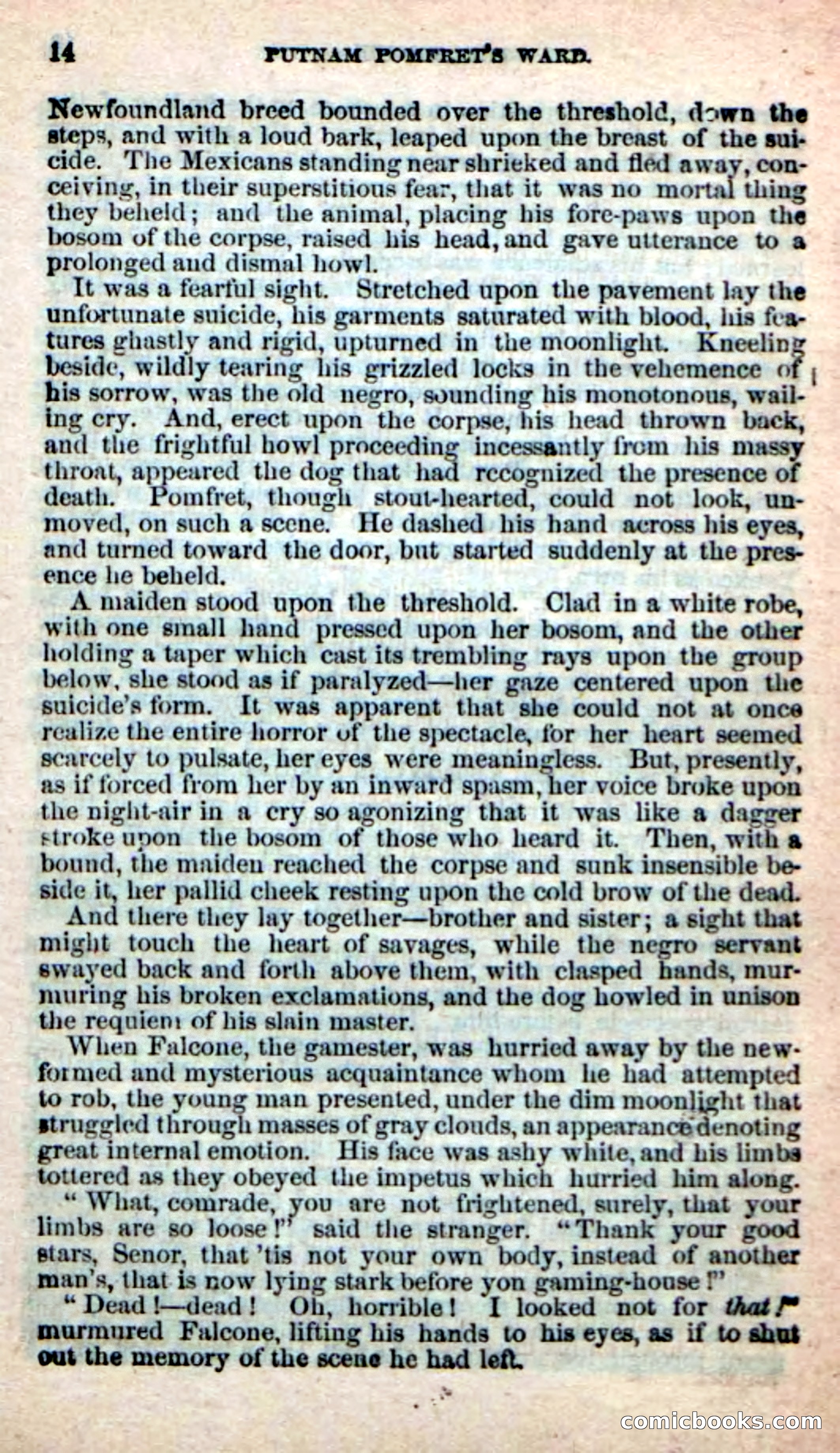 Putnam Pomfret's Ward — page 10 of 100