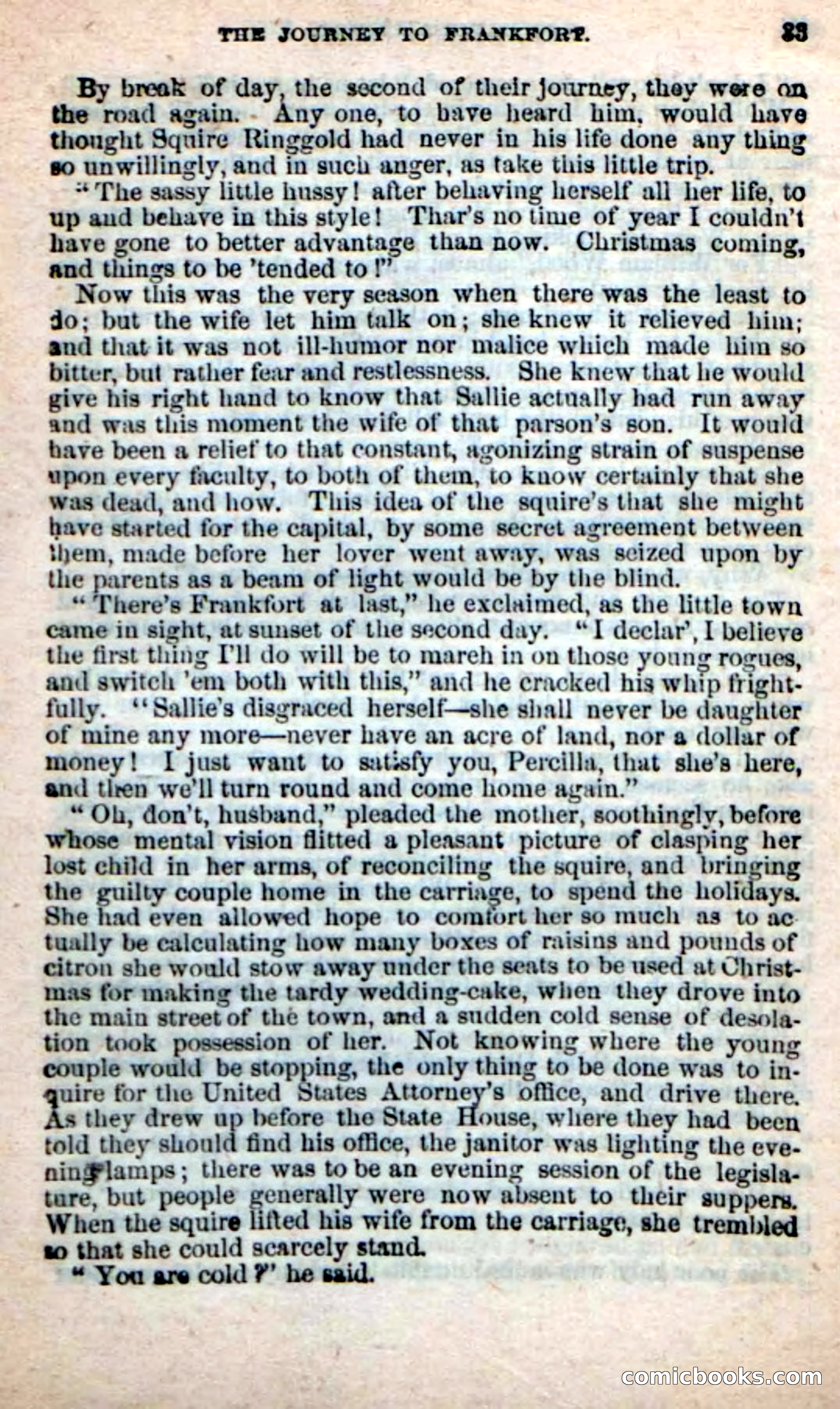 Jo Daviess' Client — page 29 of 100