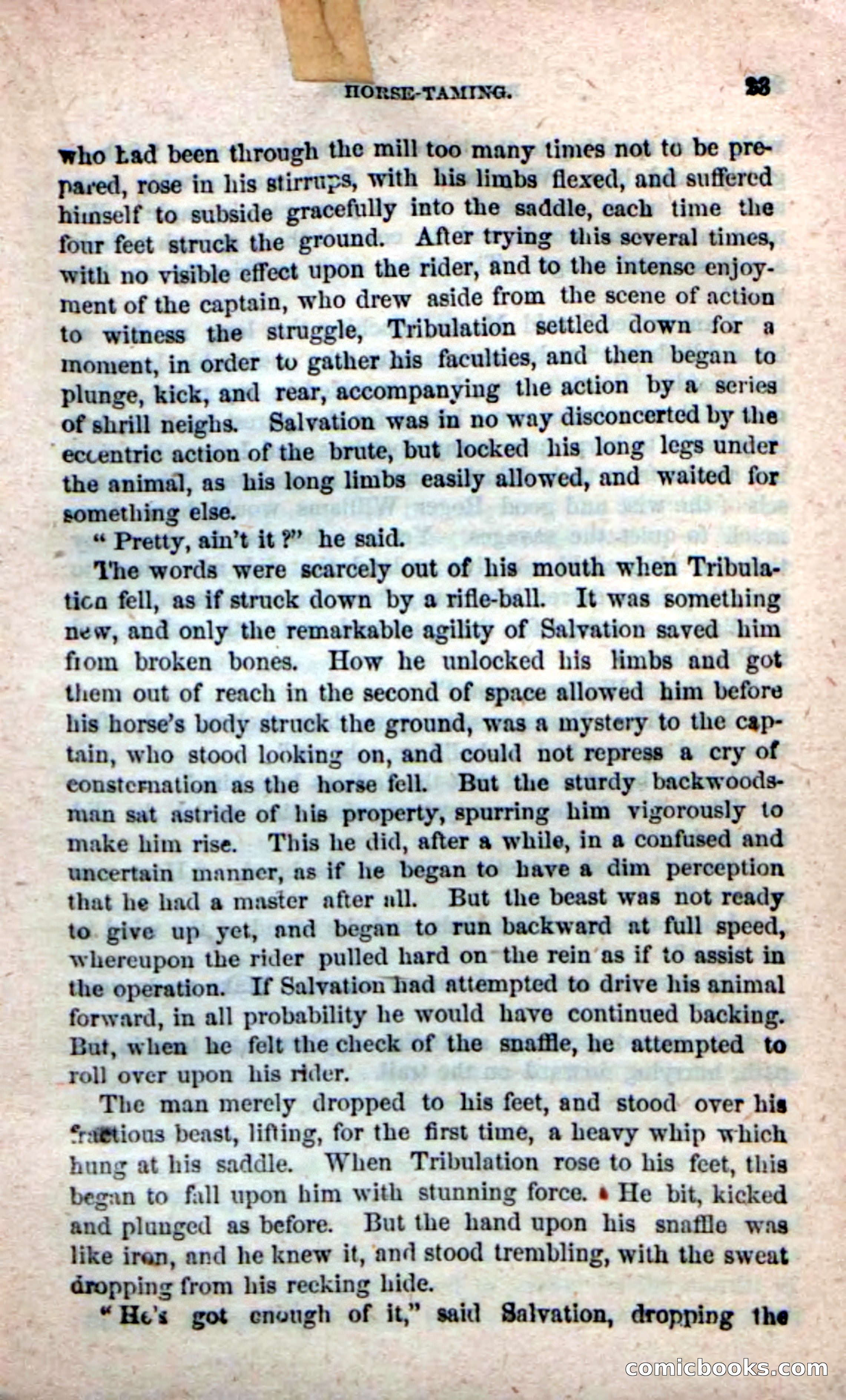Beadle's New Dime Novels: Ruth Harland — page 19 of 100