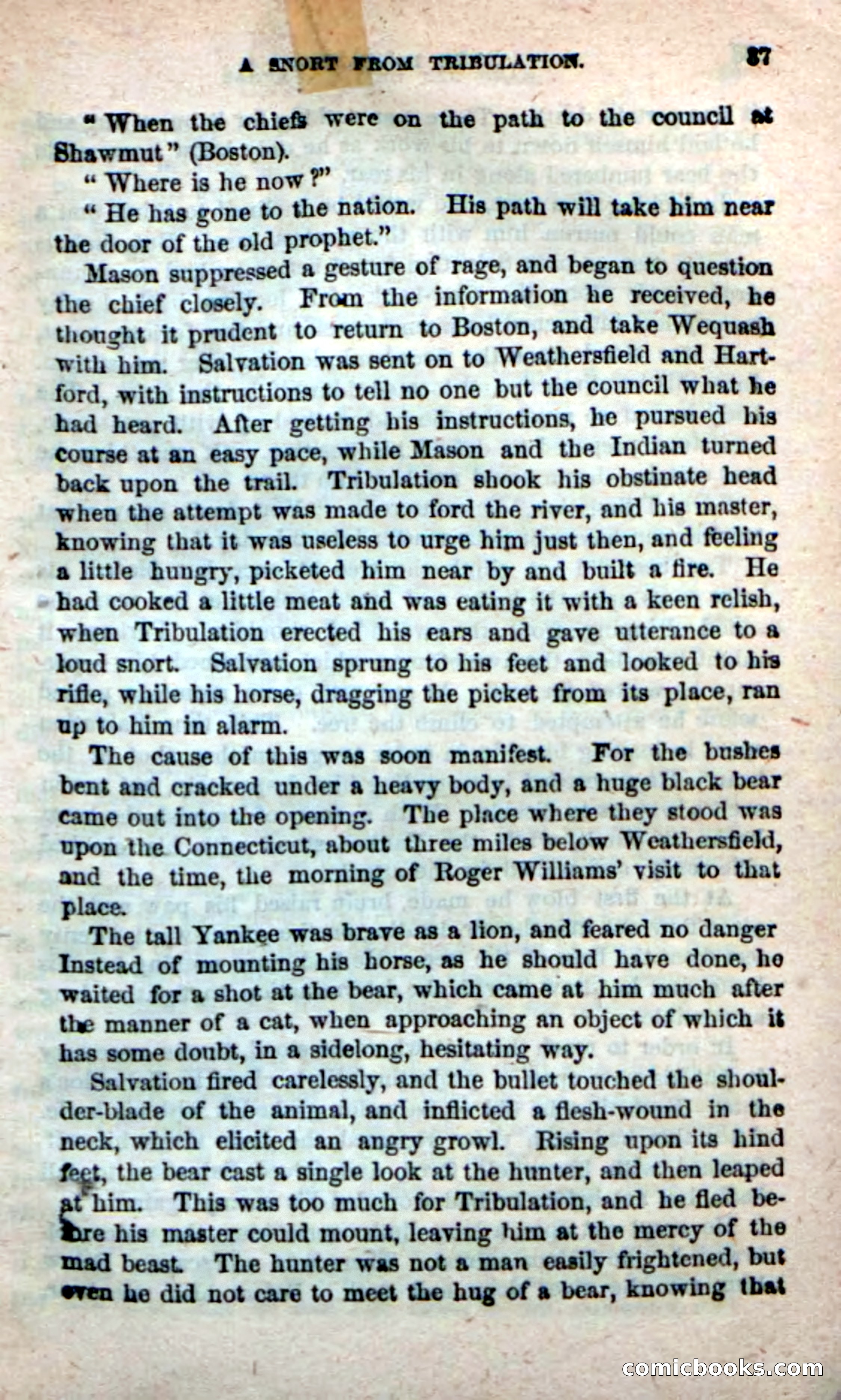 Beadle's New Dime Novels: Ruth Harland — page 33 of 100