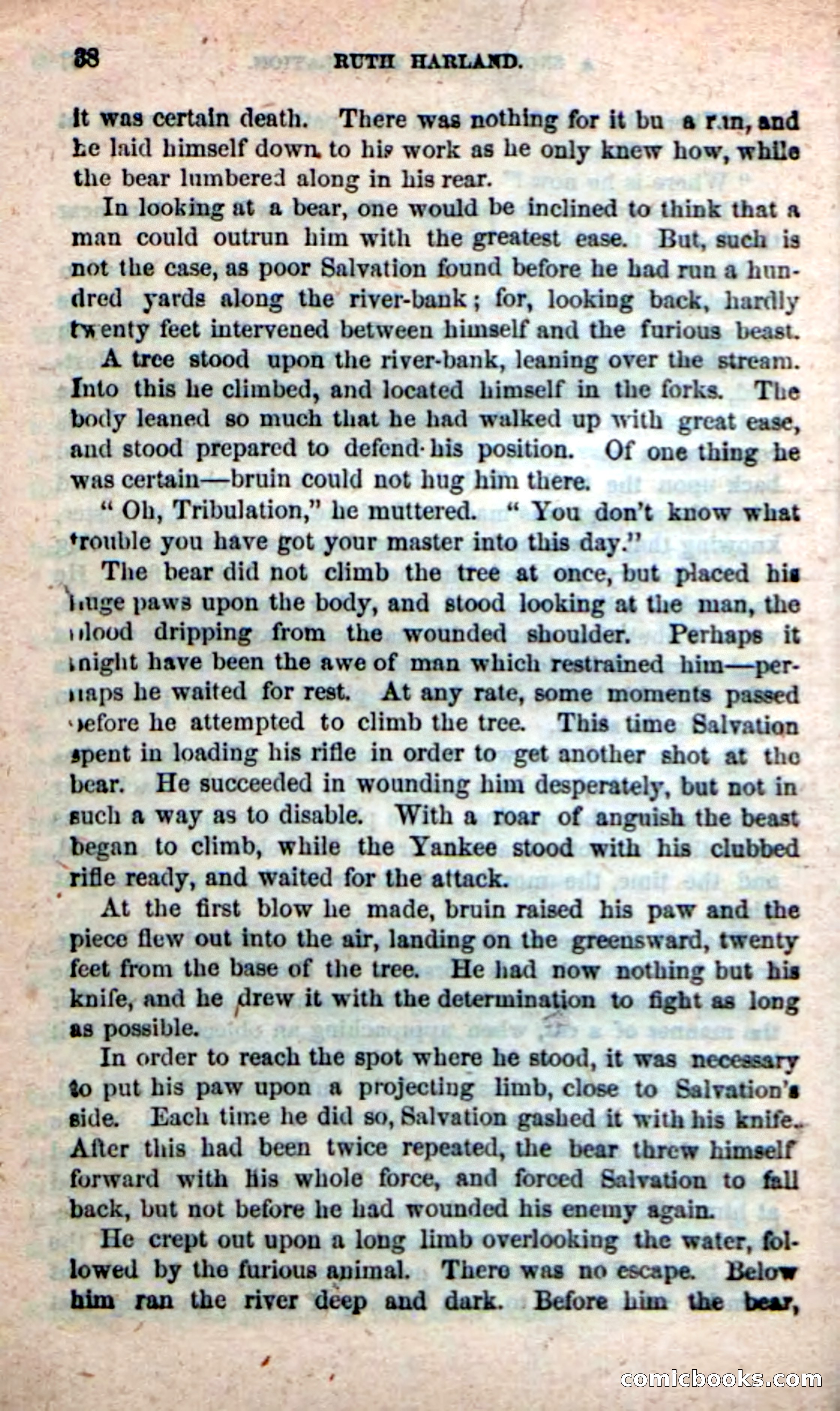 Beadle's New Dime Novels: Ruth Harland — page 34 of 100