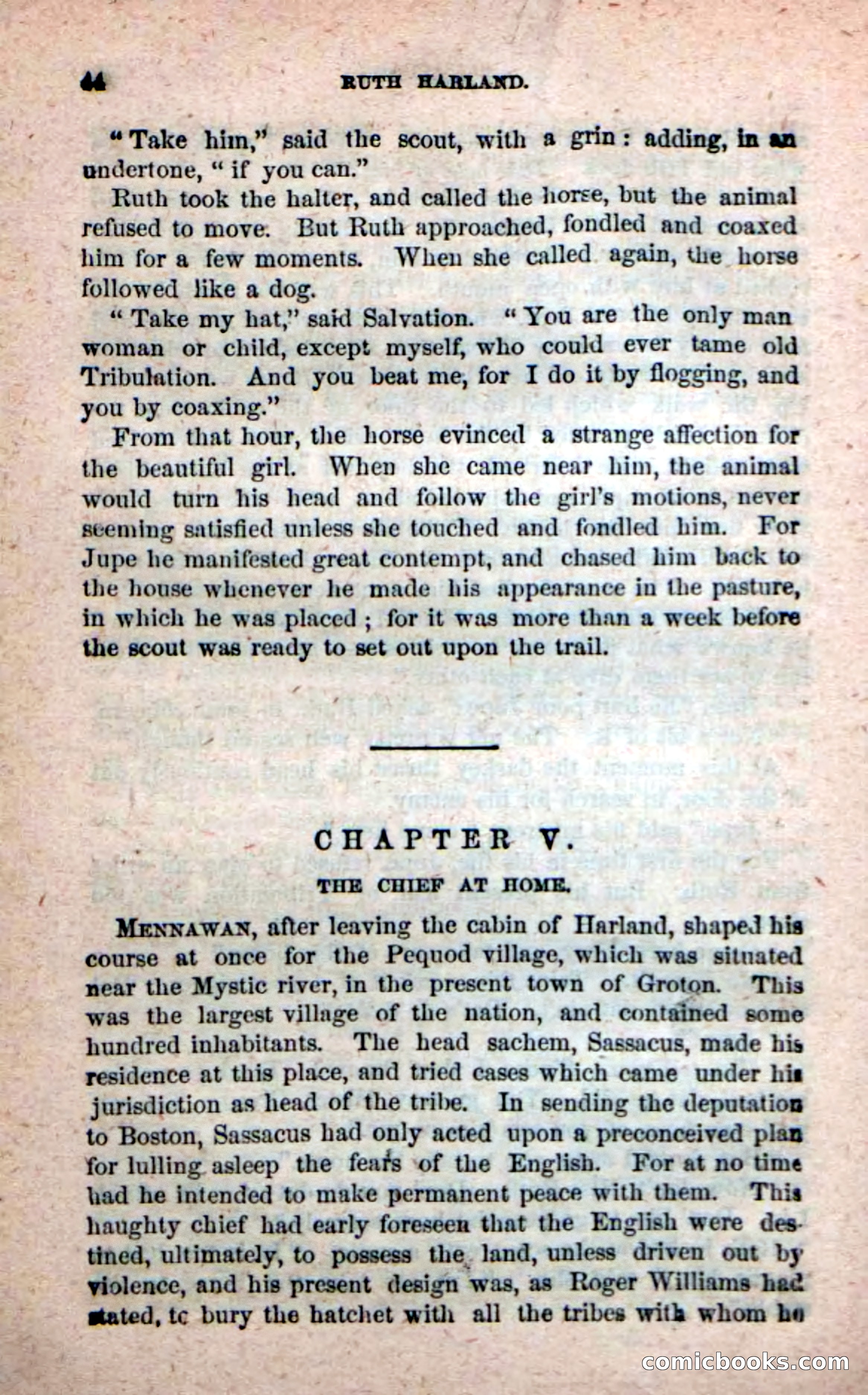 Beadle's New Dime Novels: Ruth Harland — page 40 of 100