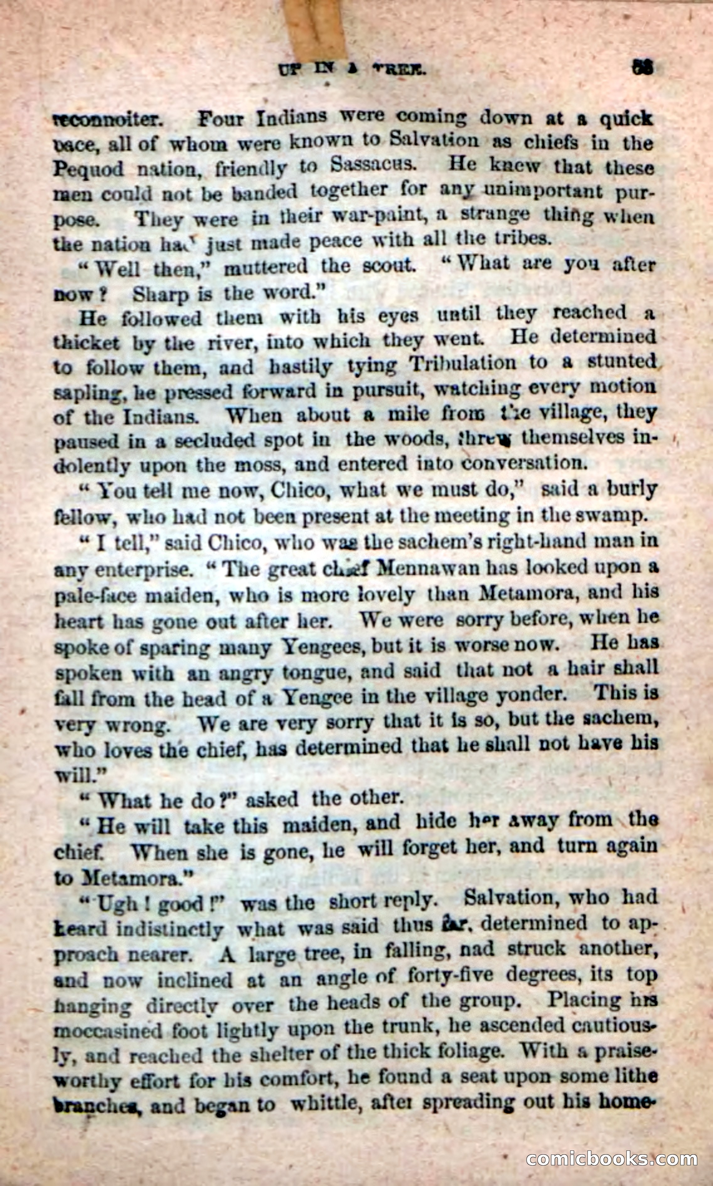 Beadle's New Dime Novels: Ruth Harland — page 49 of 100