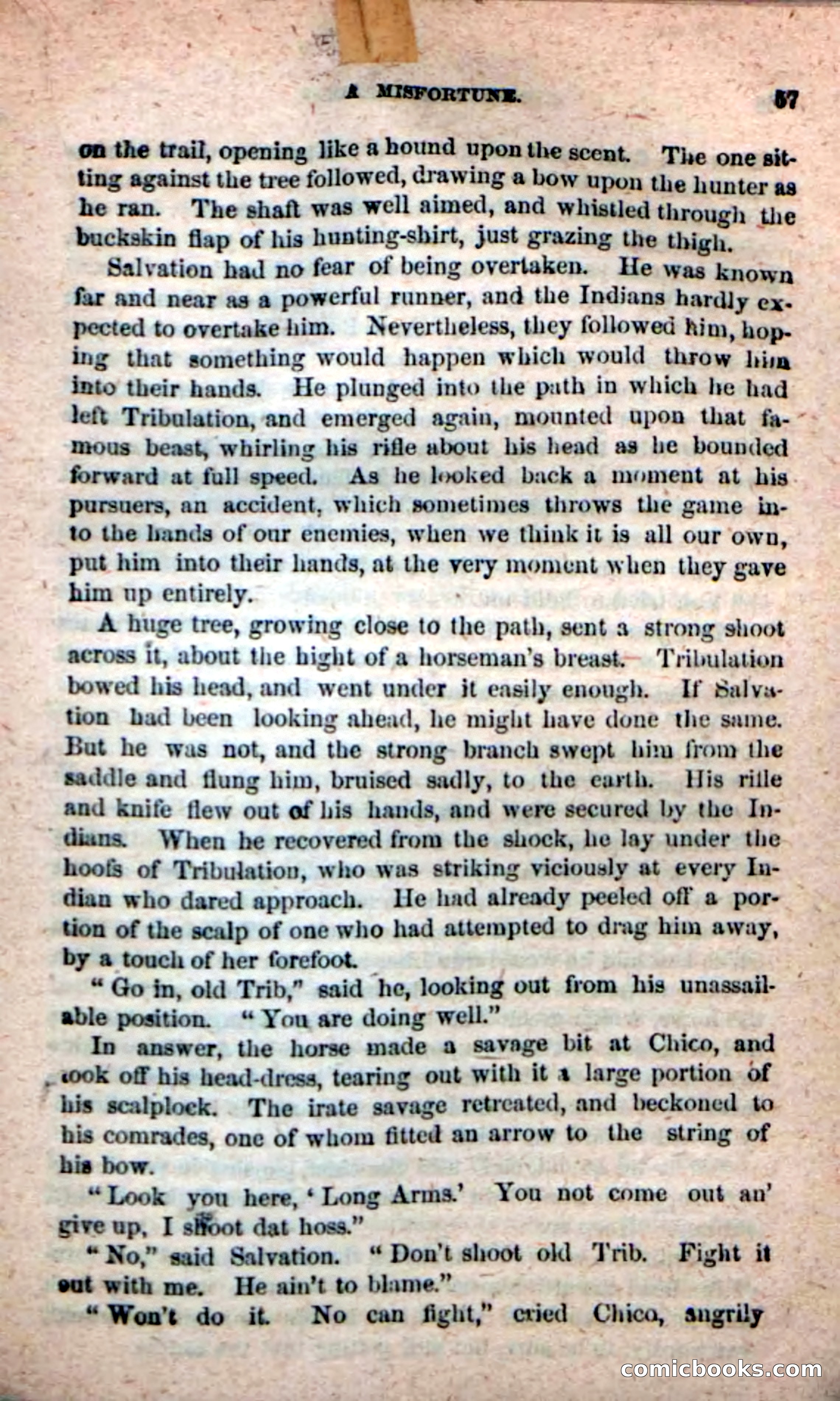 Beadle's New Dime Novels: Ruth Harland — page 53 of 100