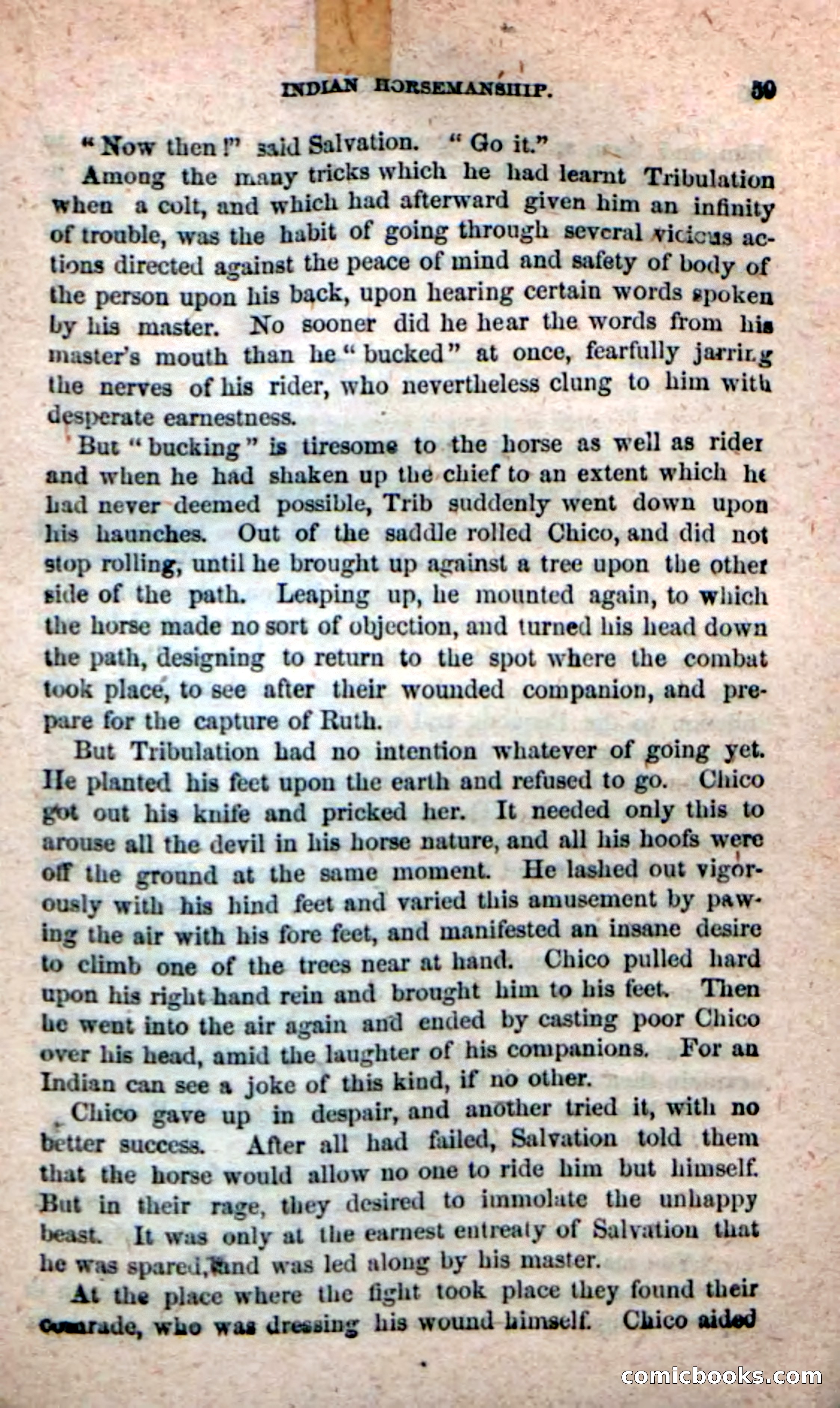 Beadle's New Dime Novels: Ruth Harland — page 55 of 100