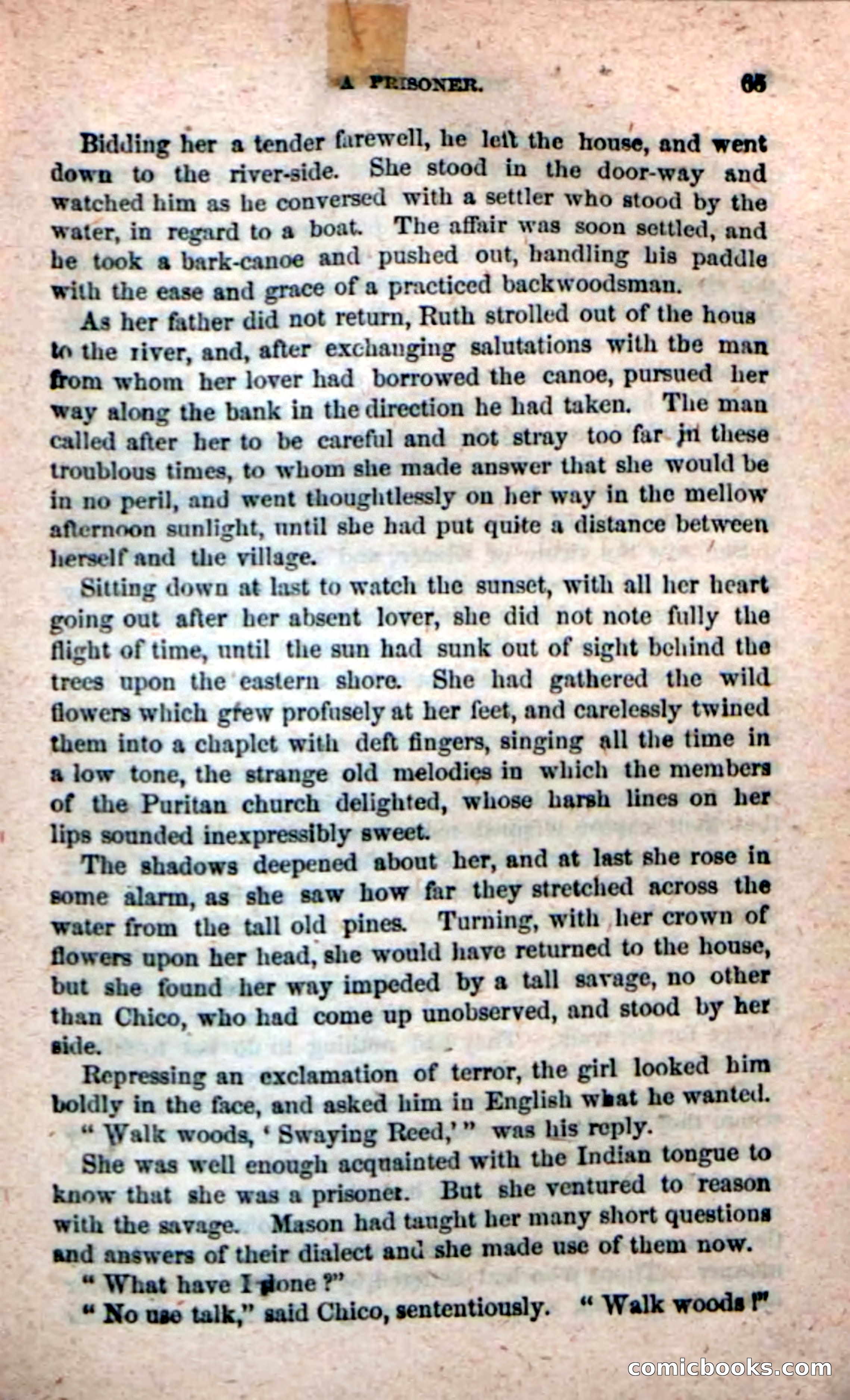 Beadle's New Dime Novels: Ruth Harland — page 61 of 100