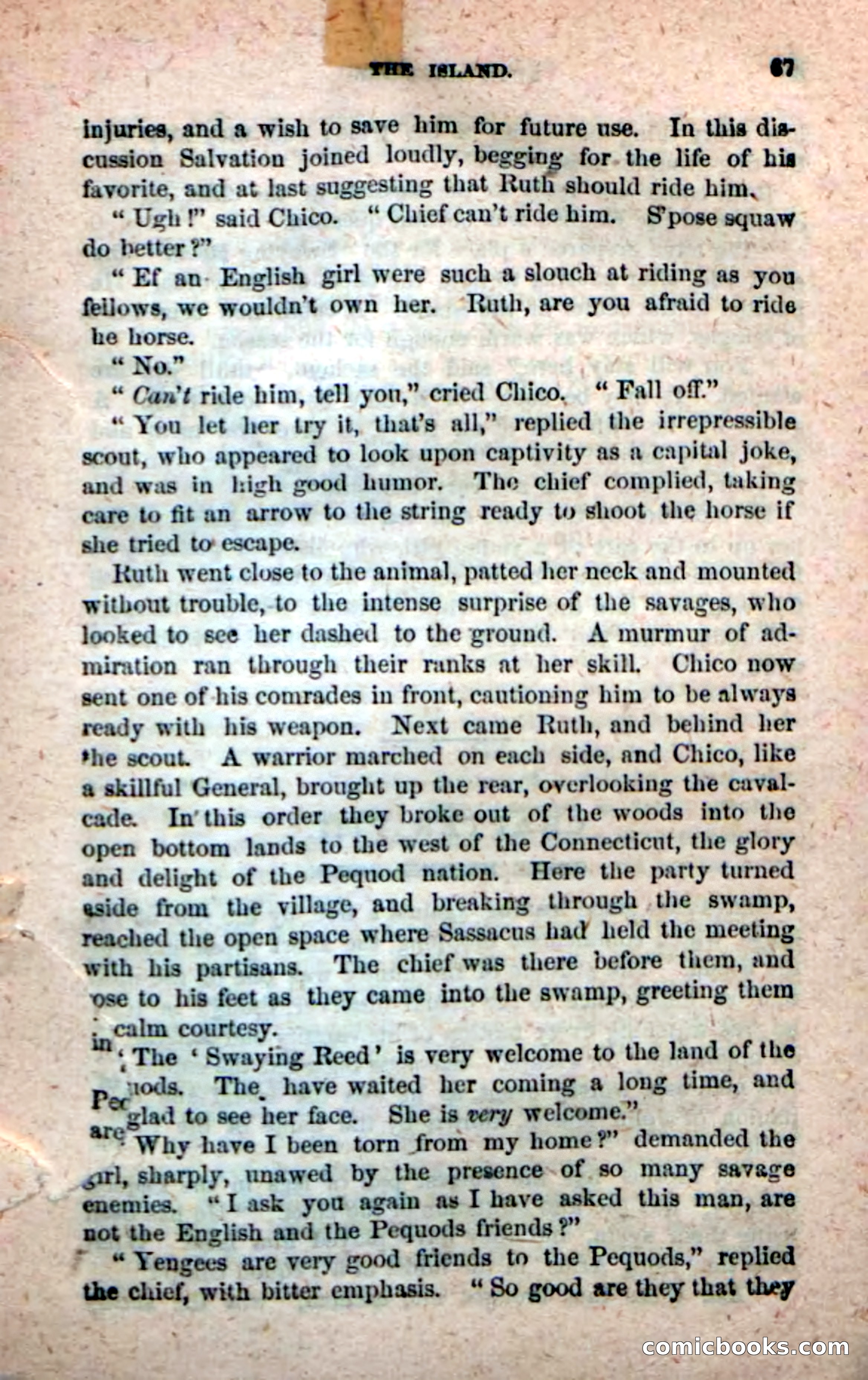Beadle's New Dime Novels: Ruth Harland — page 63 of 100