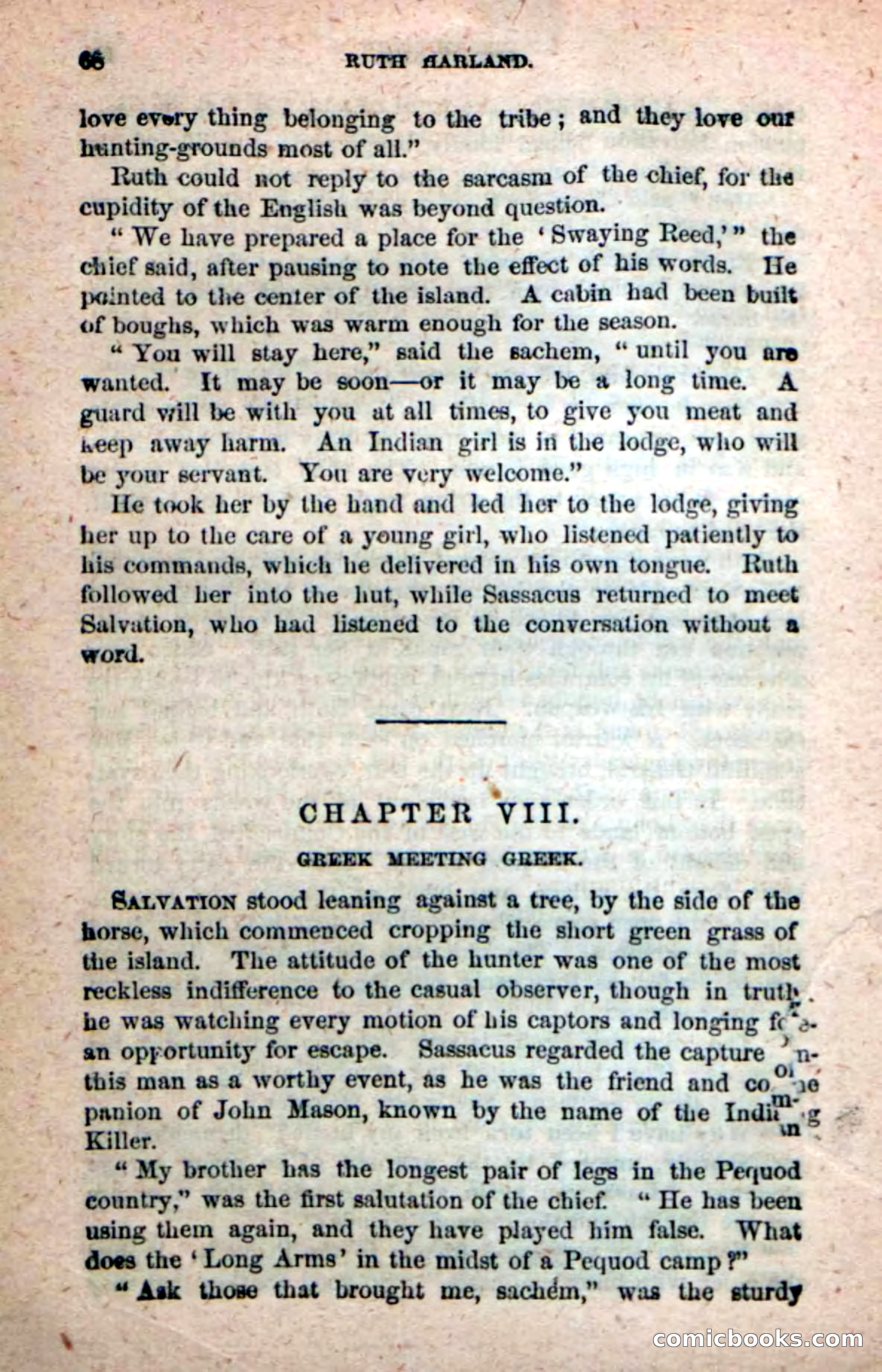 Beadle's New Dime Novels: Ruth Harland — page 64 of 100