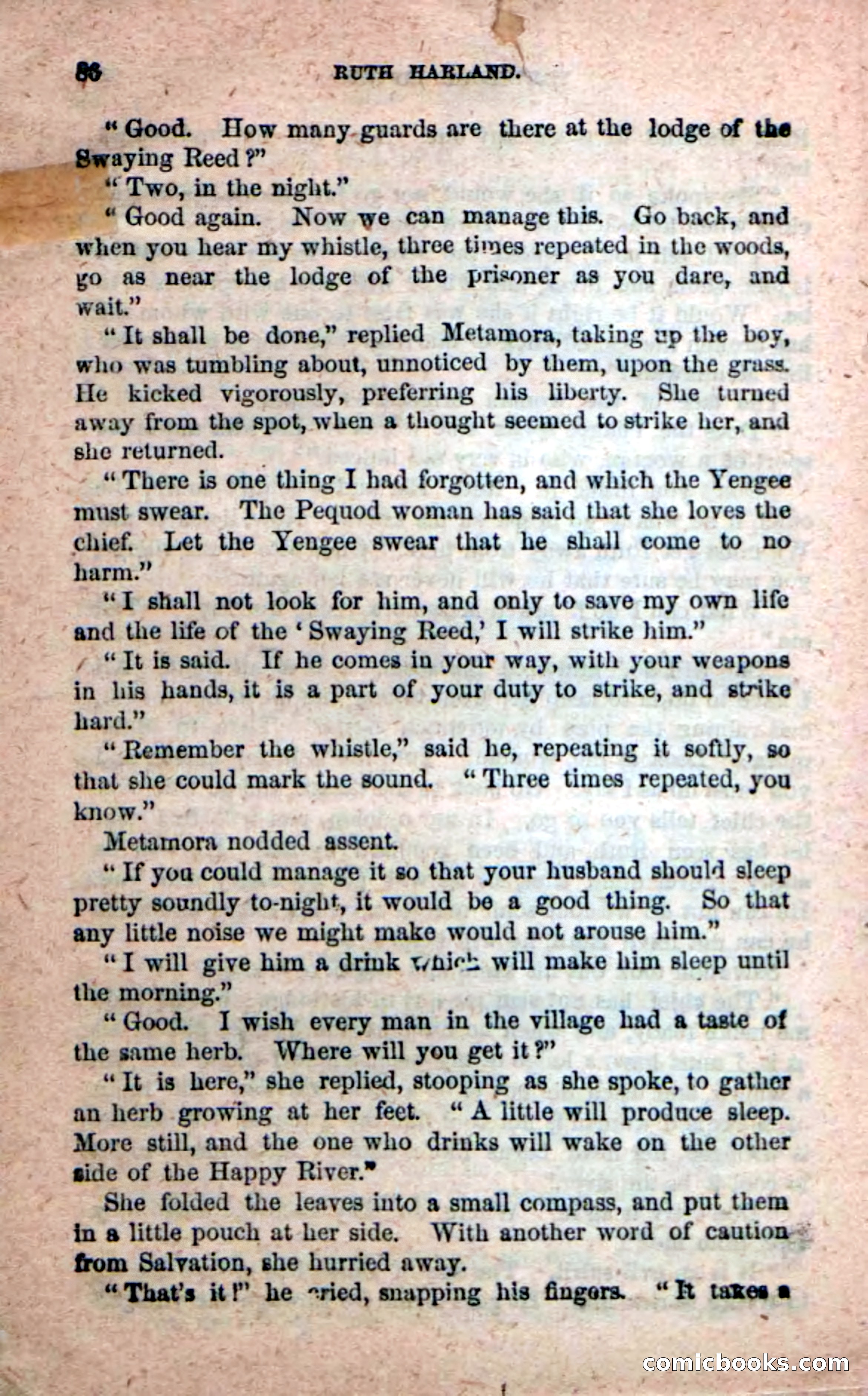 Beadle's New Dime Novels: Ruth Harland — page 82 of 100