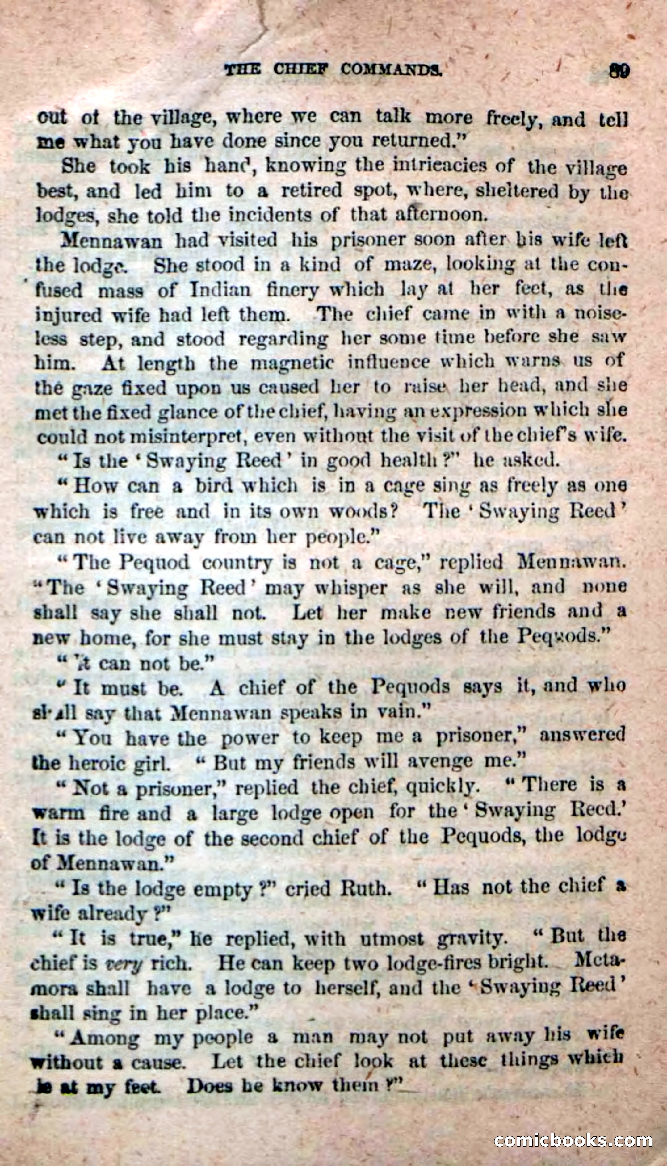 Beadle's New Dime Novels: Ruth Harland — page 85 of 100