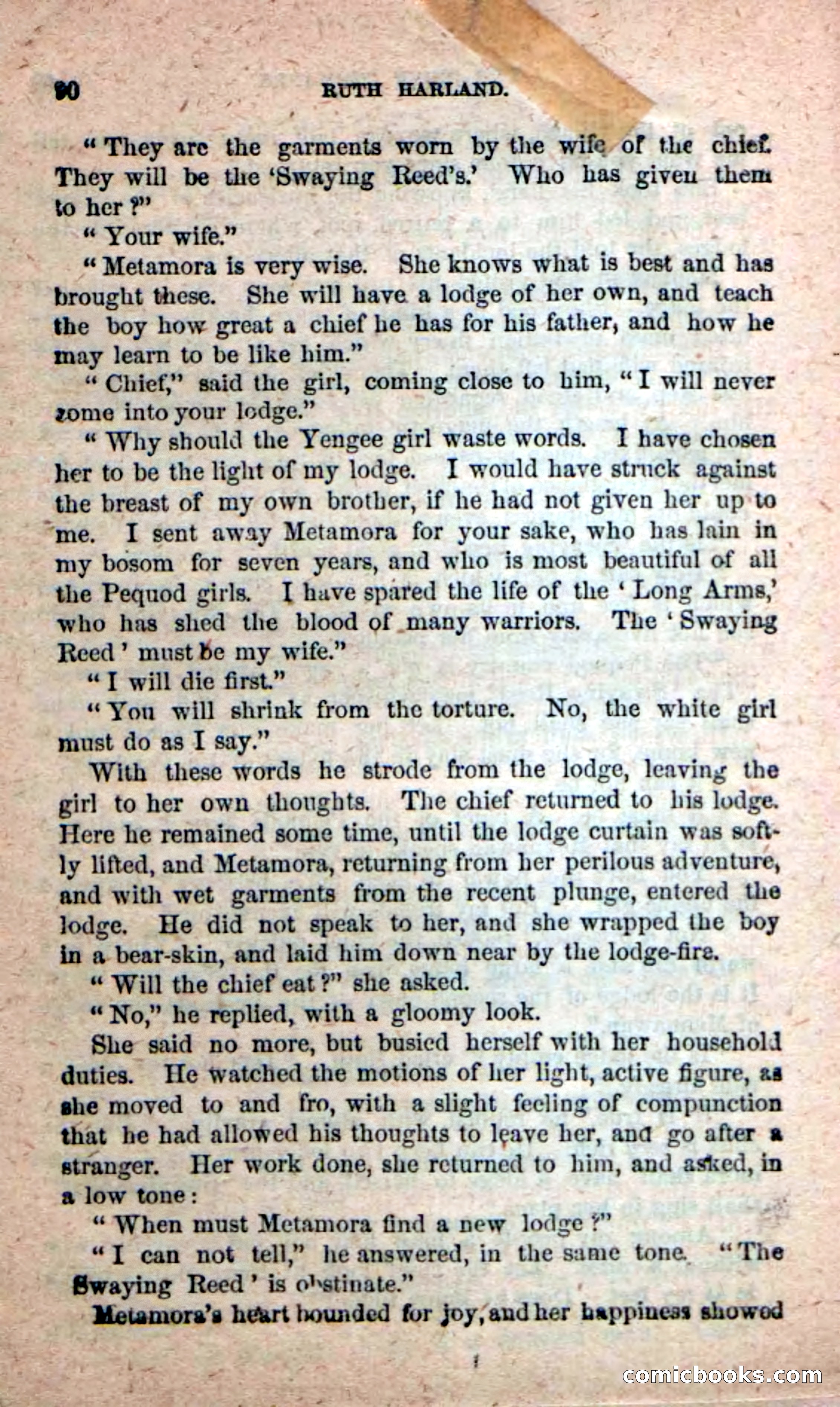 Beadle's New Dime Novels: Ruth Harland — page 86 of 100