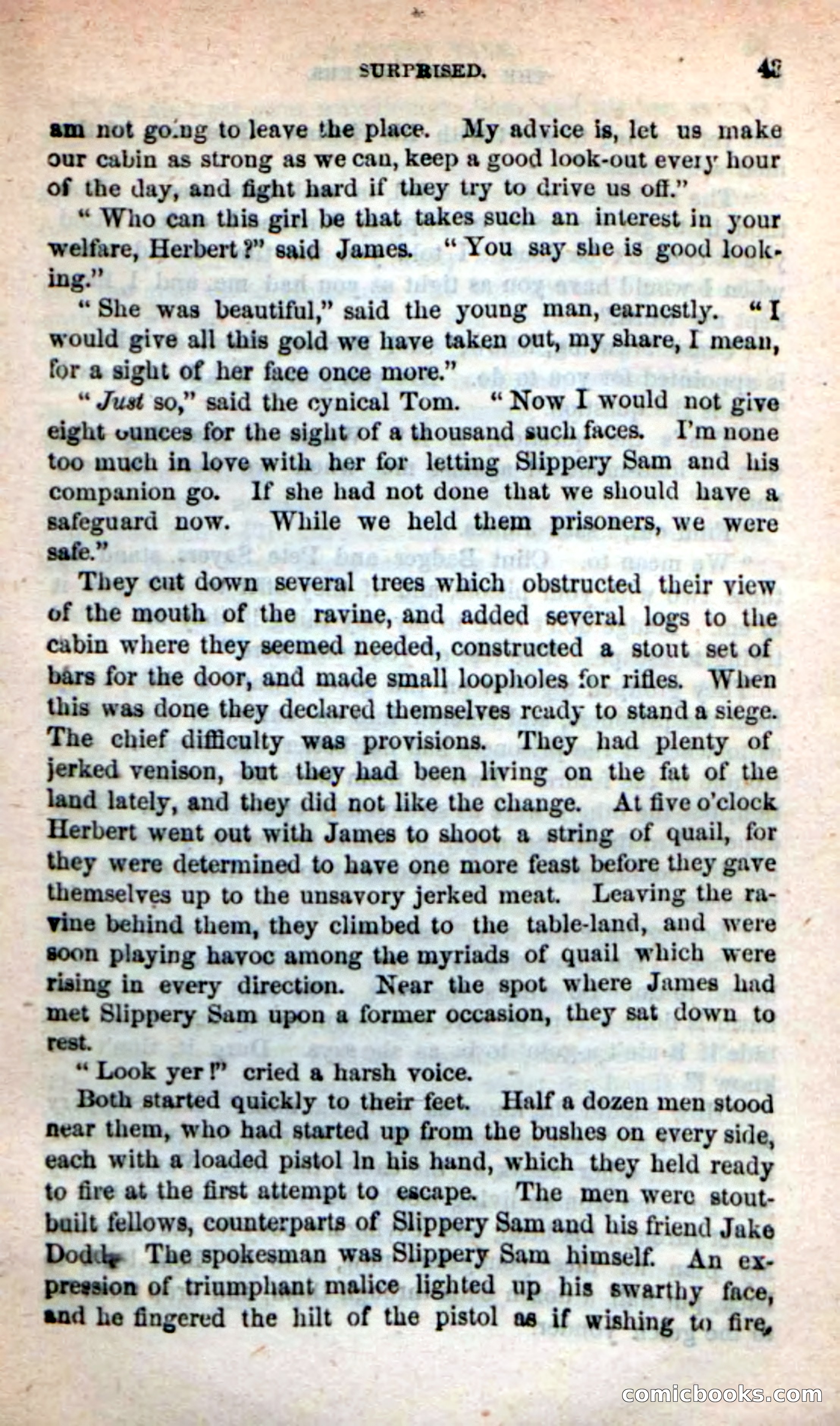 The Gulch Miners — page 41 of 102