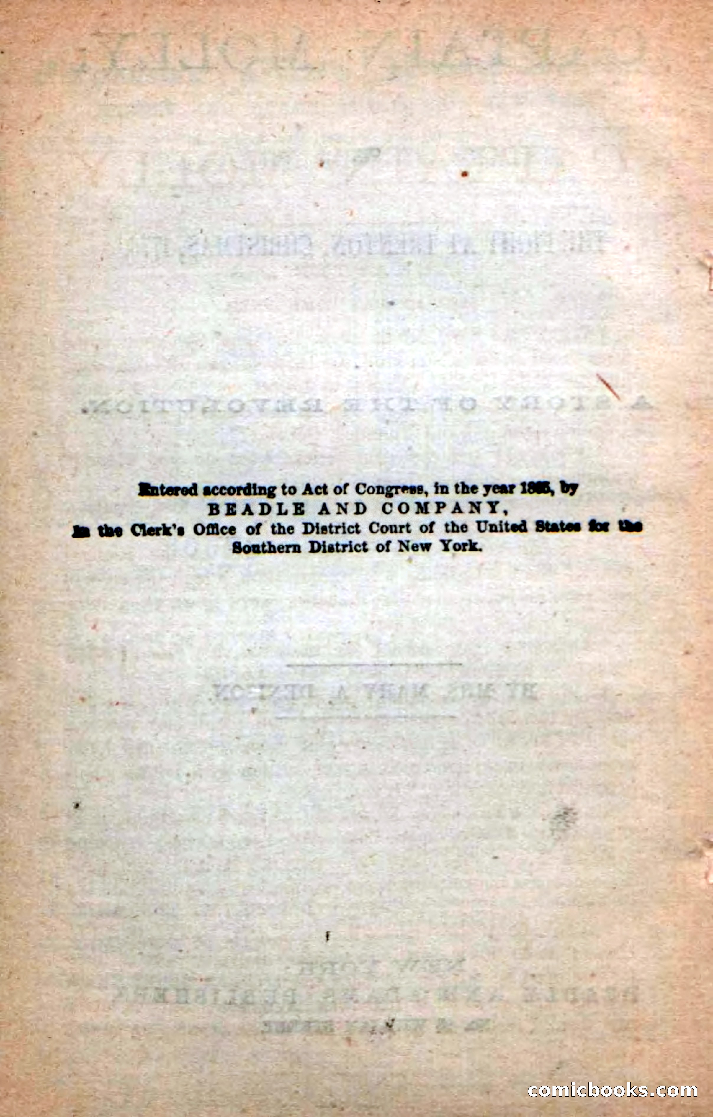 Beadle's New Dime Novels: Captain Molly — page 4 of 100