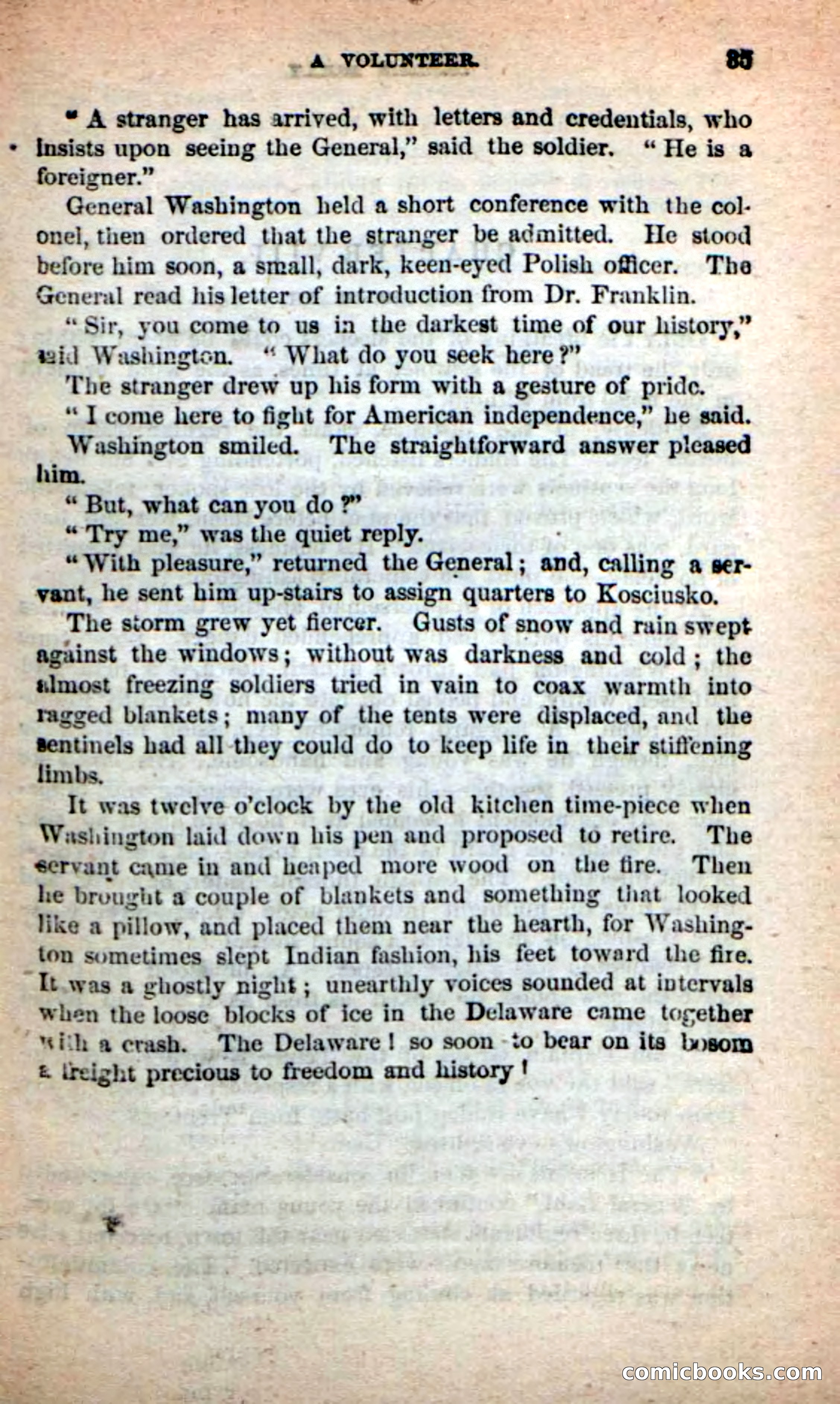 Beadle's New Dime Novels: Captain Molly — page 31 of 100