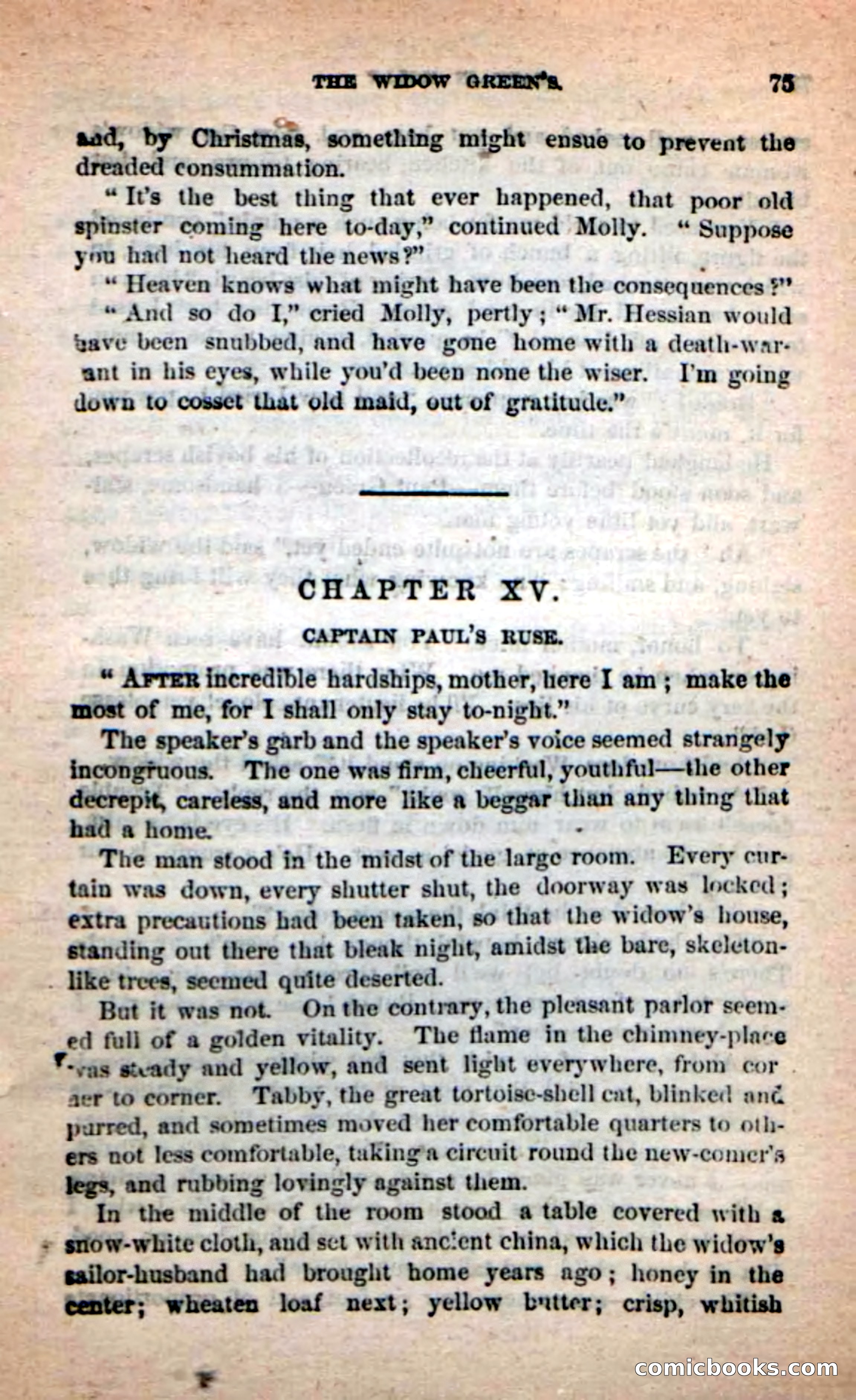 Beadle's New Dime Novels: Captain Molly — page 71 of 100