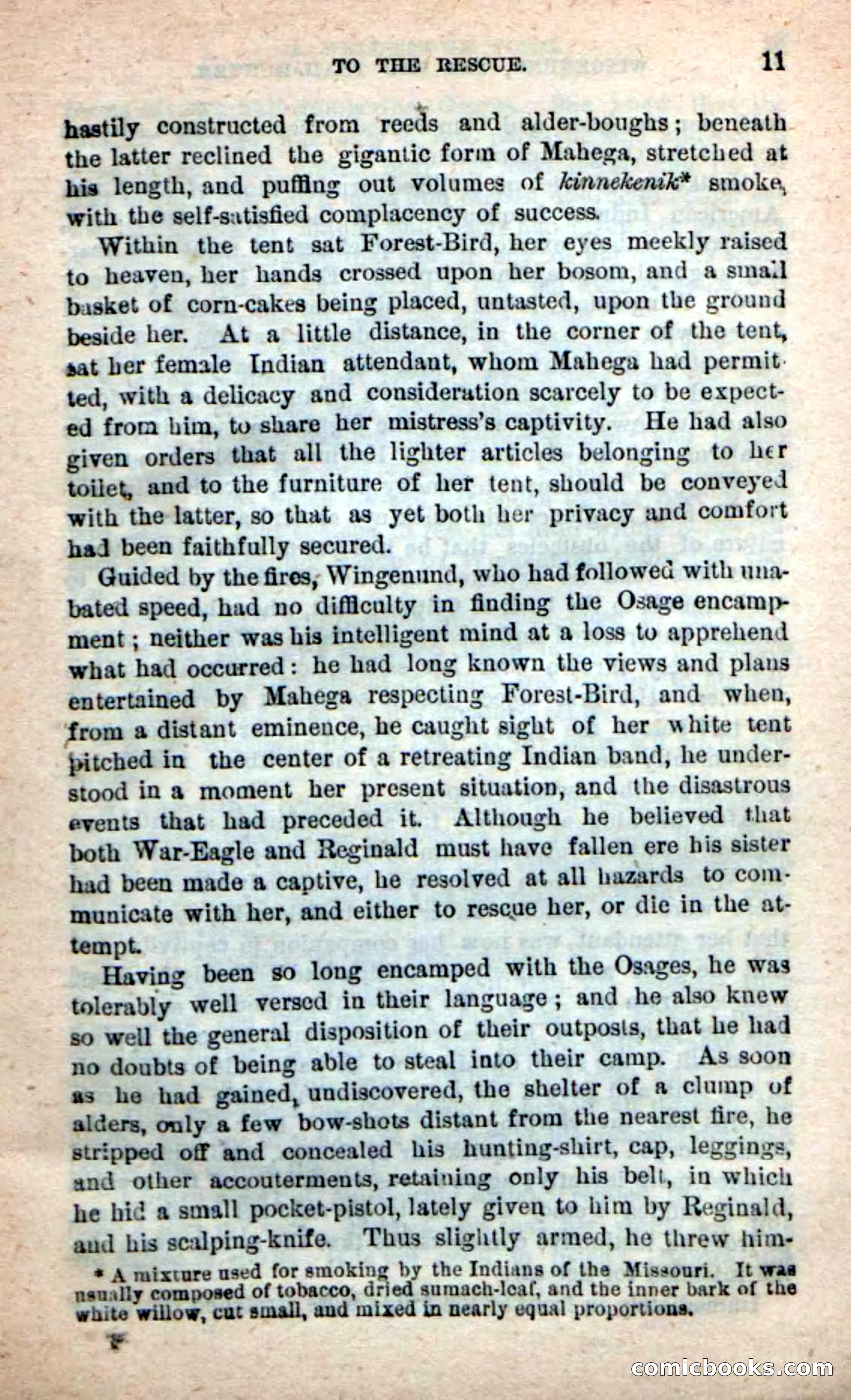 Beadle's New Dime Novels: Wingenund — page 7 of 101