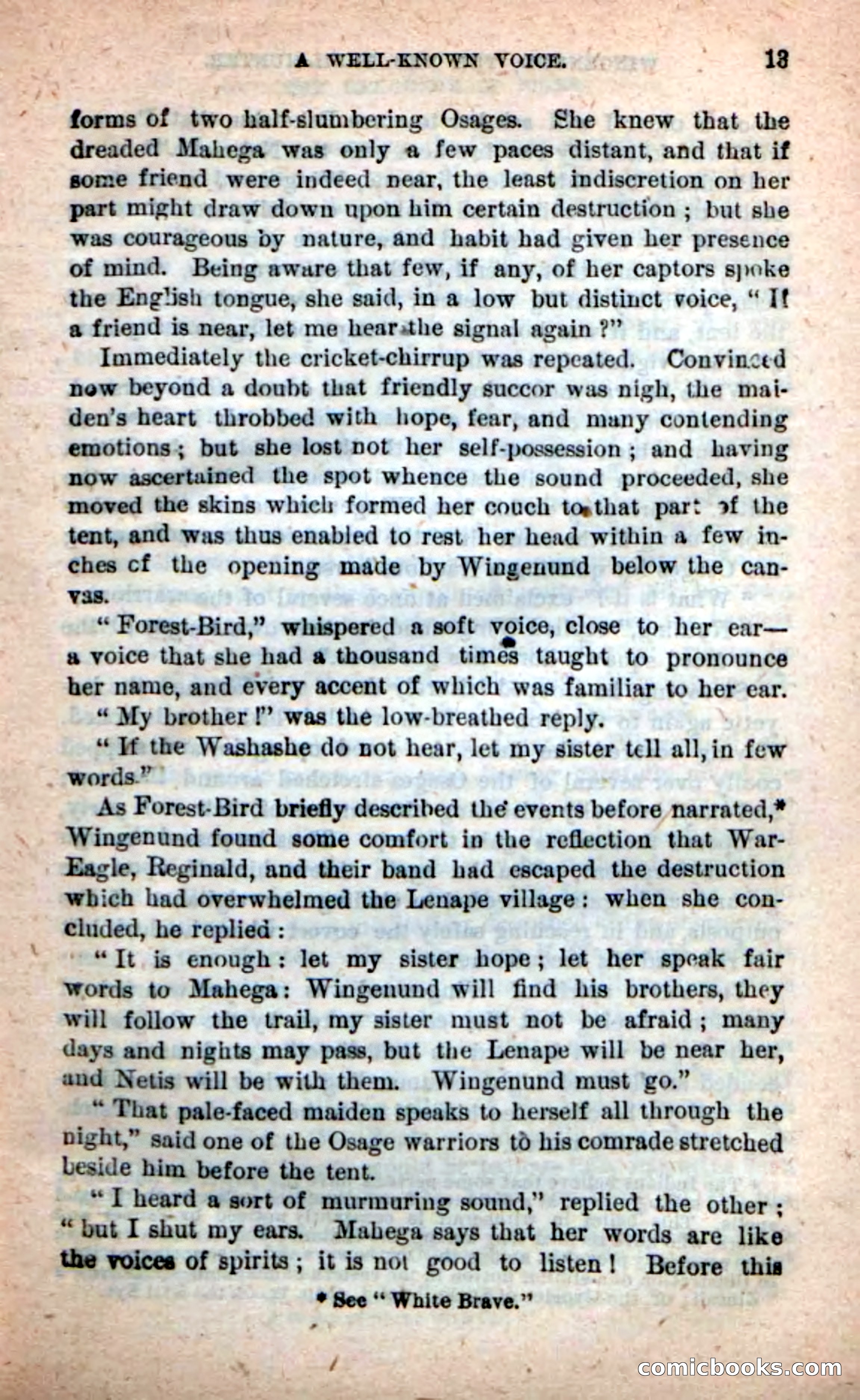 Beadle's New Dime Novels: Wingenund — page 9 of 101